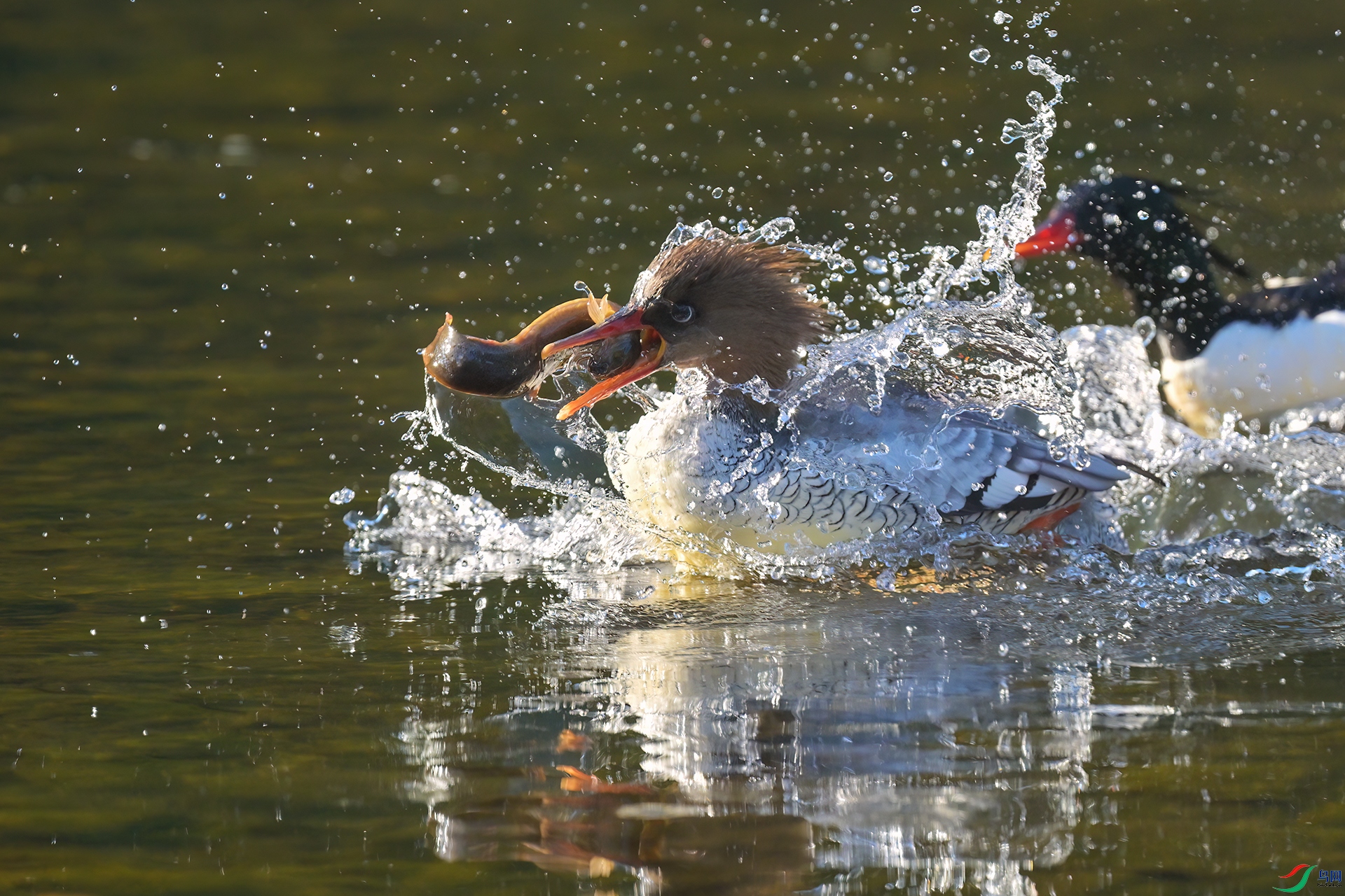 DSC_5220.jpg