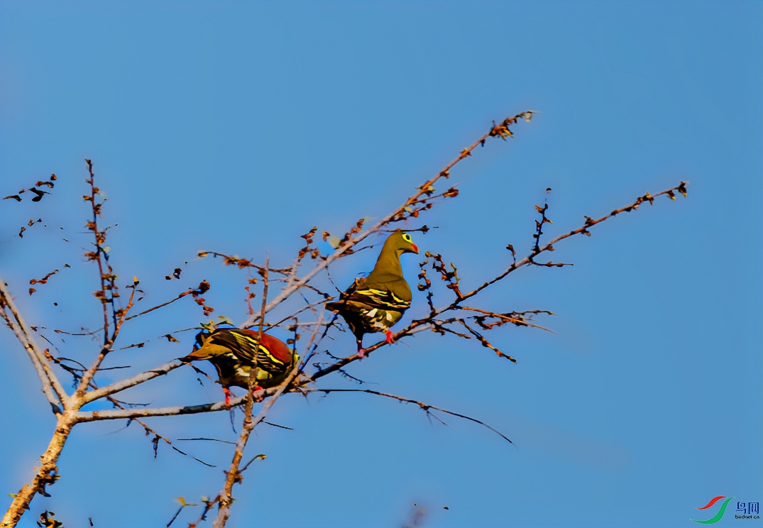 DSC_7665-1.jpg