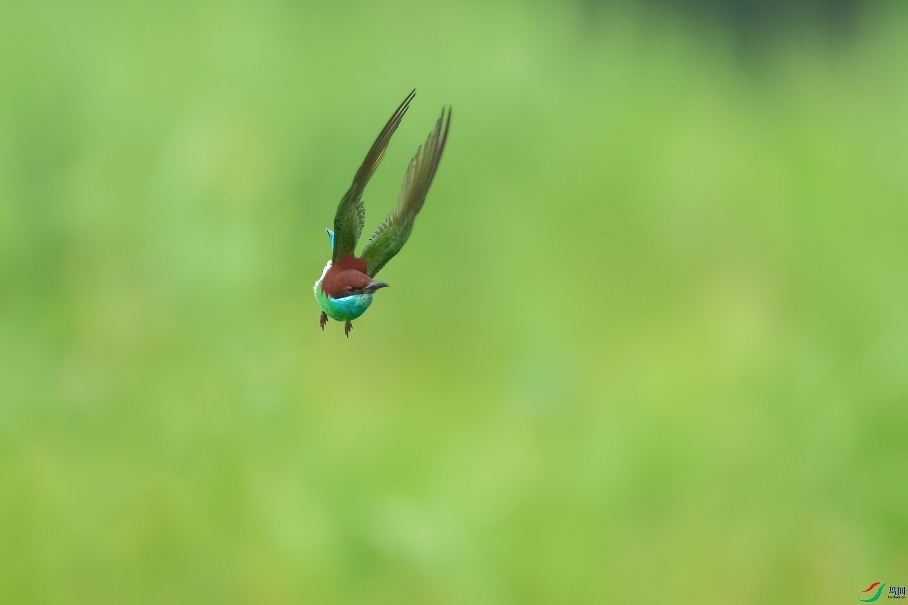 3DSC_6399_DxOa.jpg