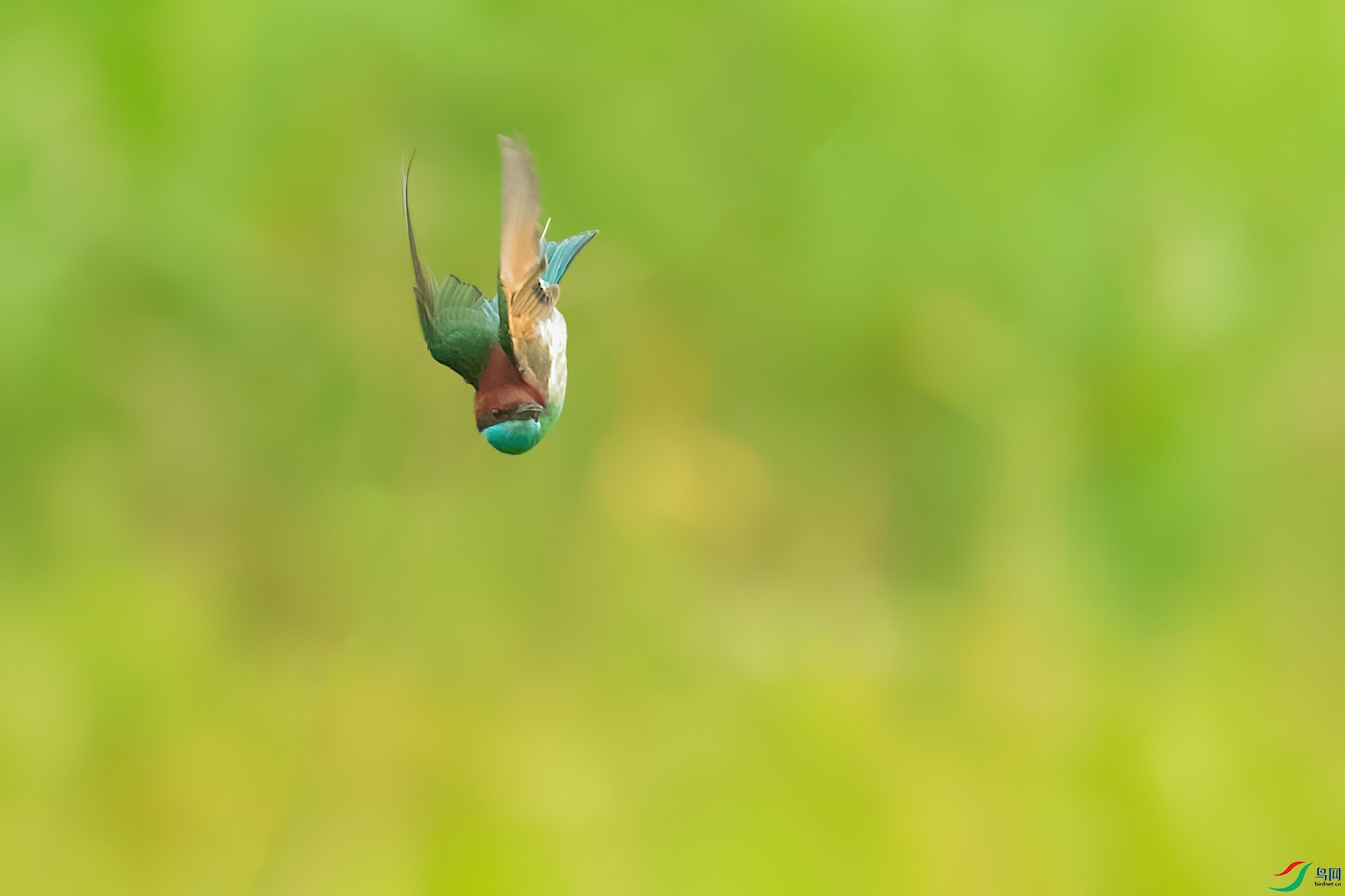 4DSC_4515_DxOa.jpg