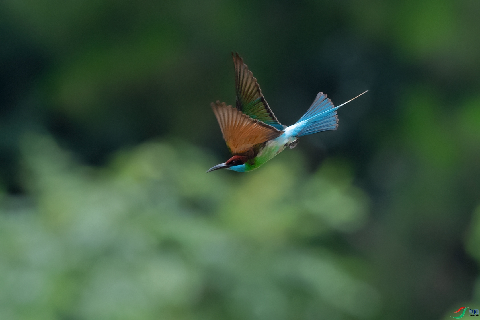 DSC_2348_DxOa.jpg