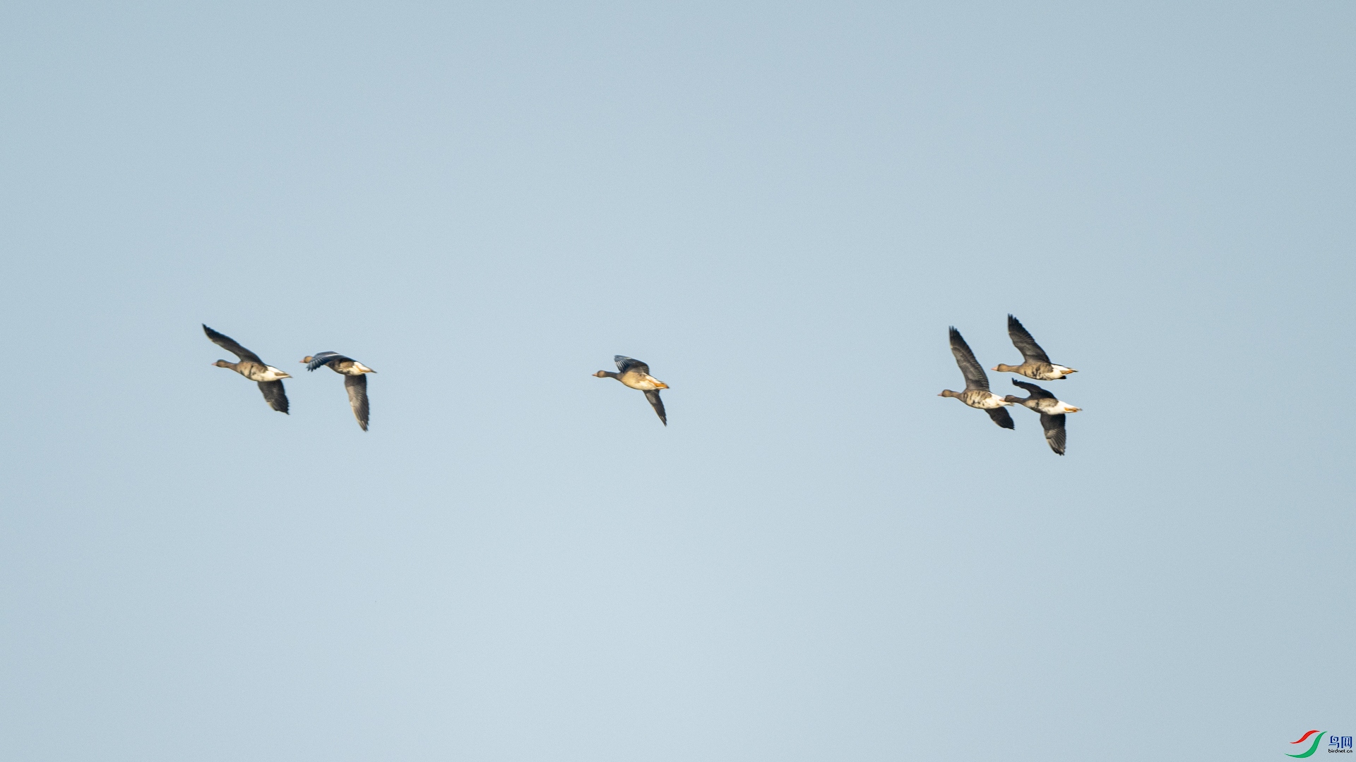 DSC_9112.jpg