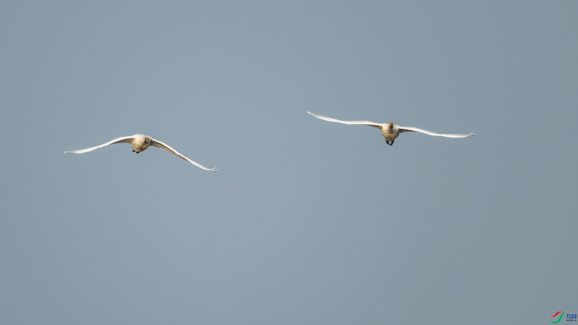 DSC_9240.jpg