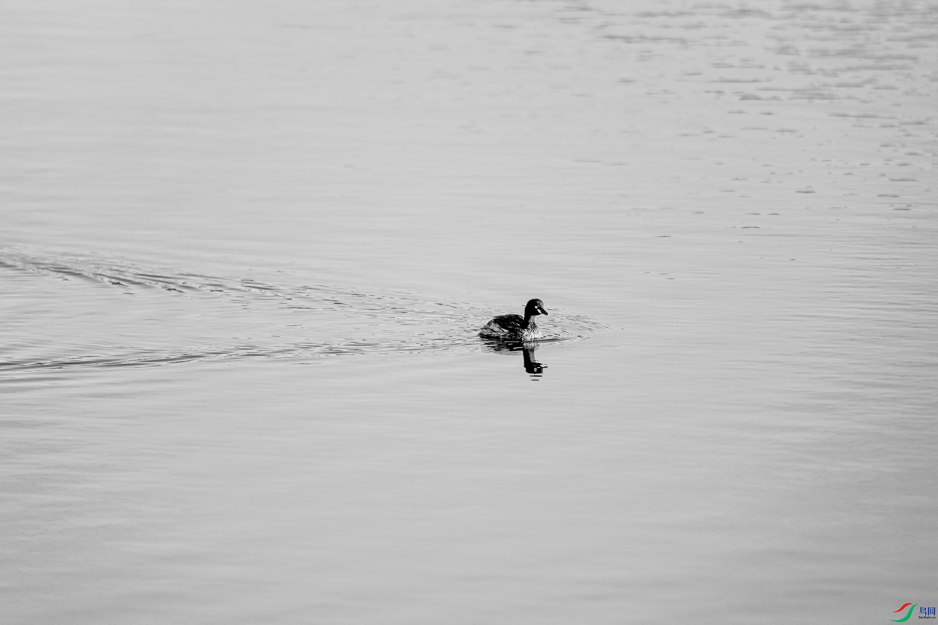 _DSC54750.jpg