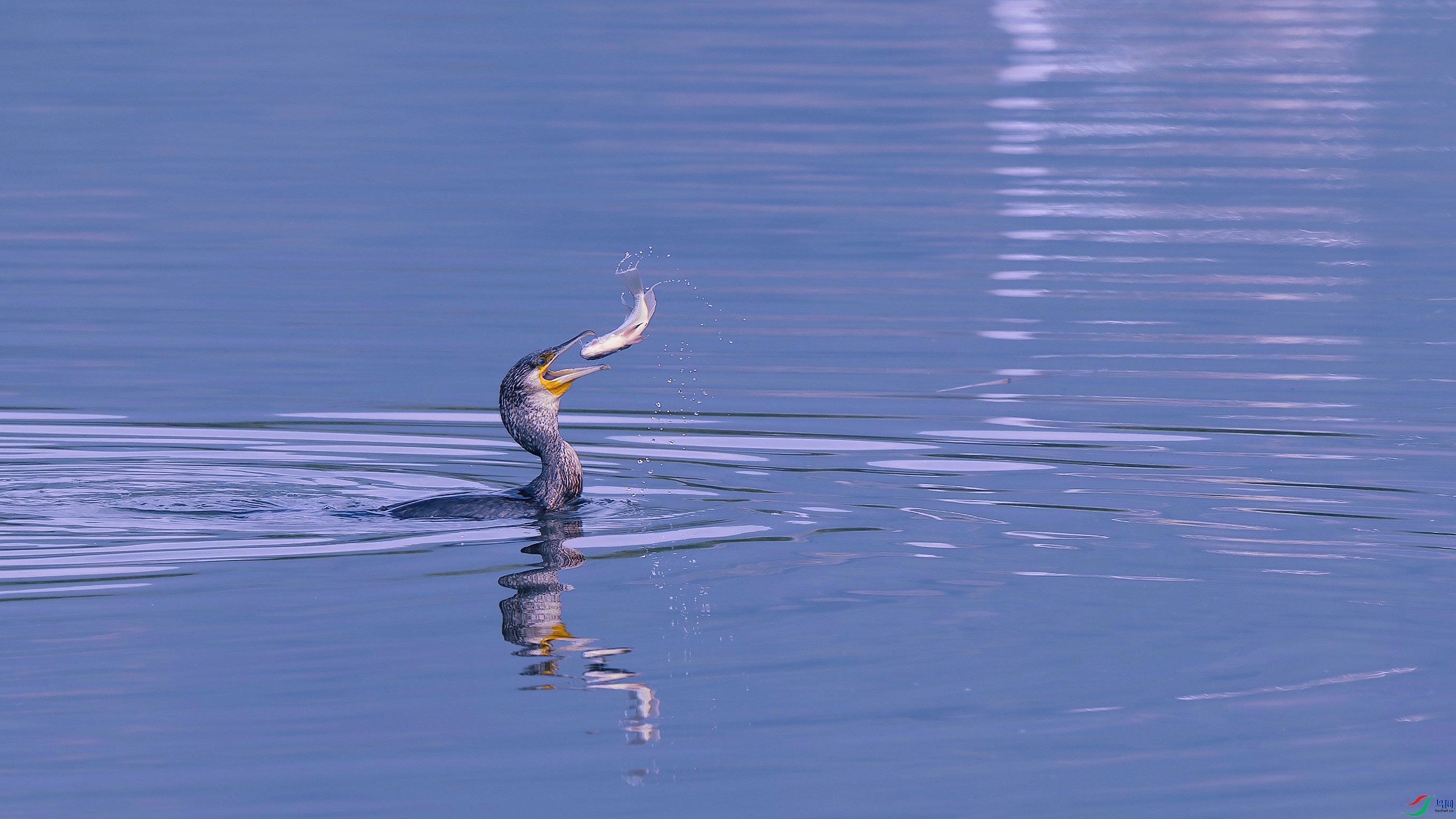 _DSC6219 ���� 2.jpg