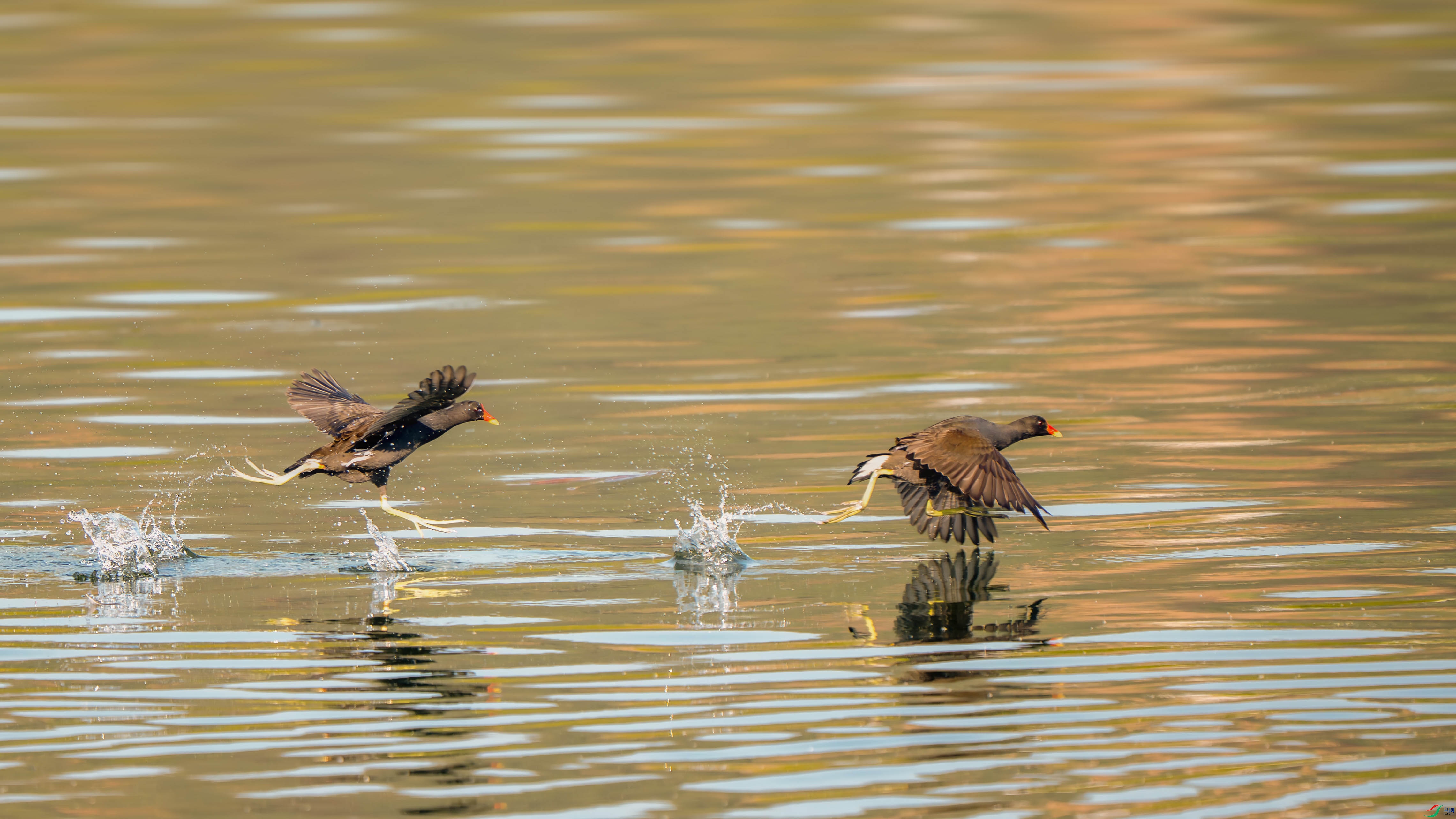 _DSC7285 ����xiao.jpg