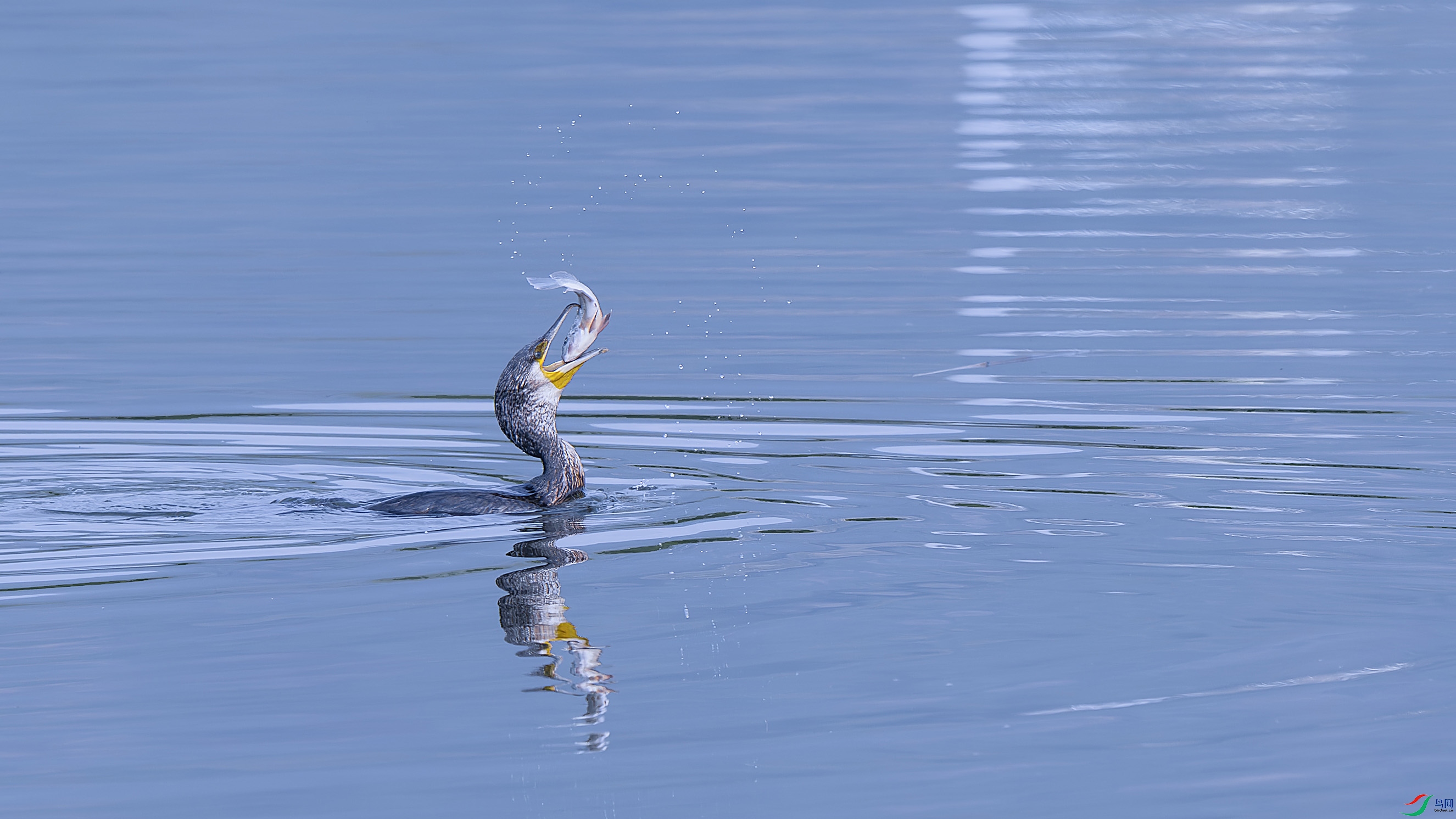 _DSC6221 ���� С.jpg