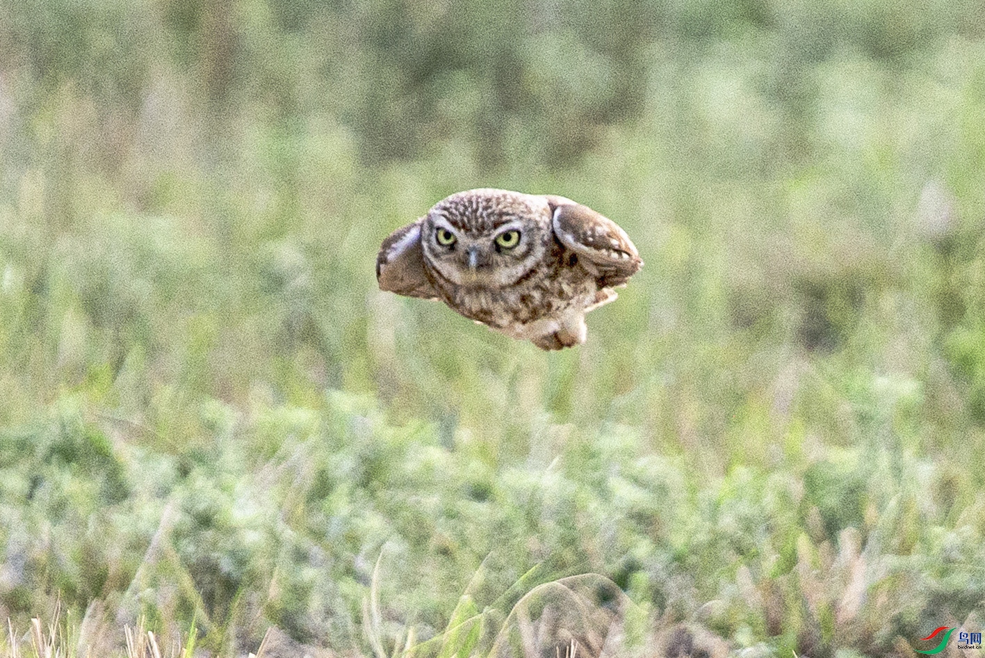 _MG_2886 ���� 2.jpg