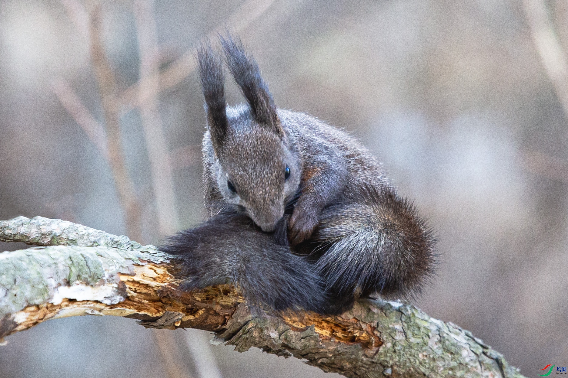 _MG_8140 ����.jpg