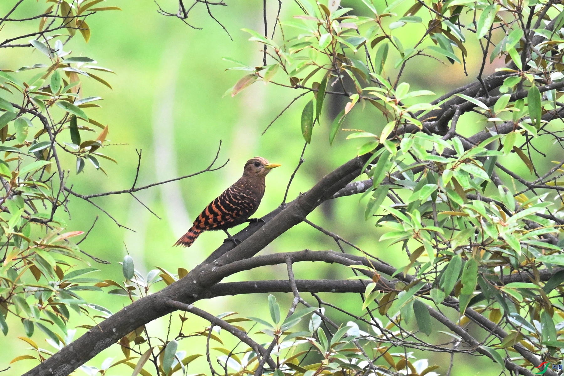 DSC_9495.JPG