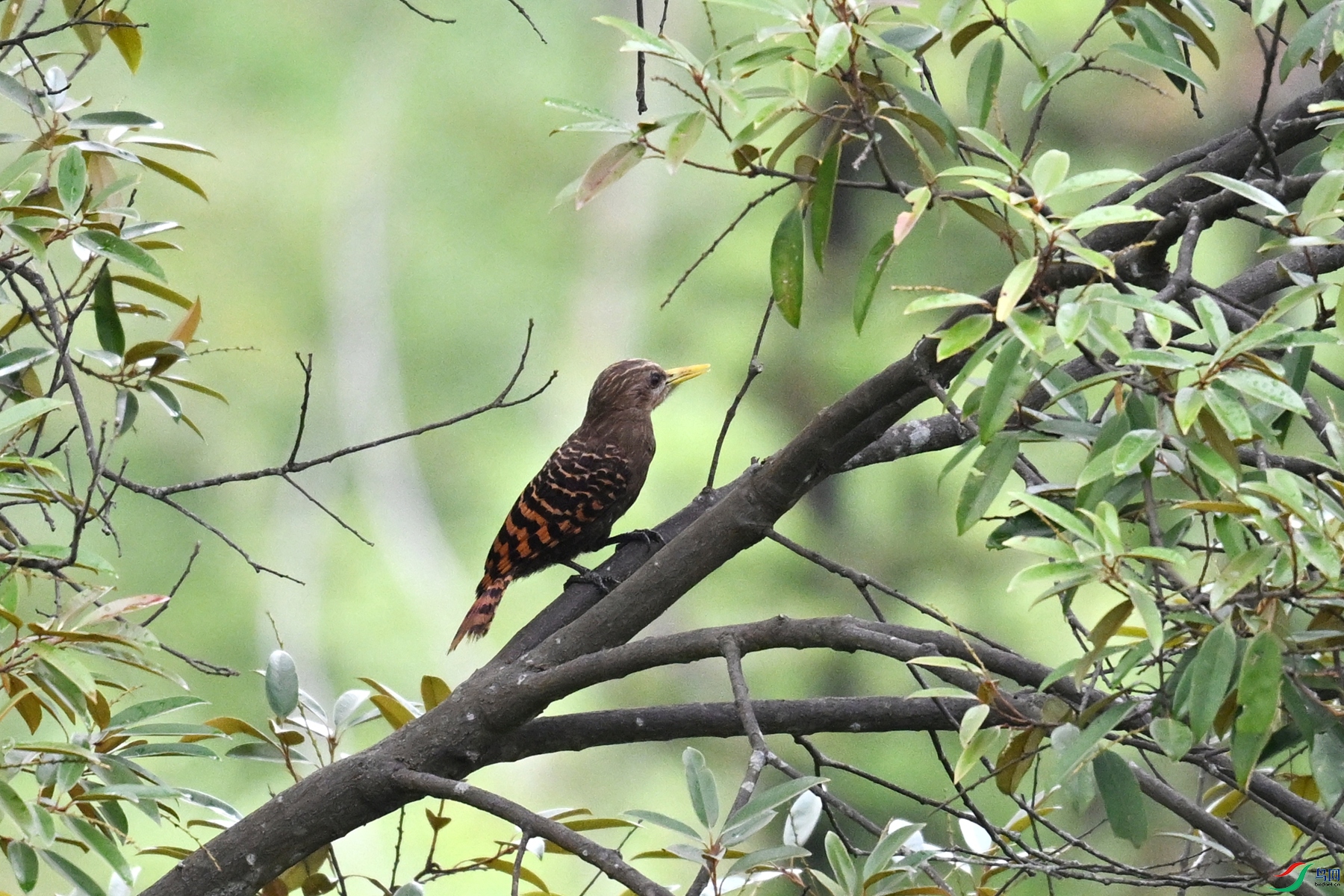 DSC_9478.JPG