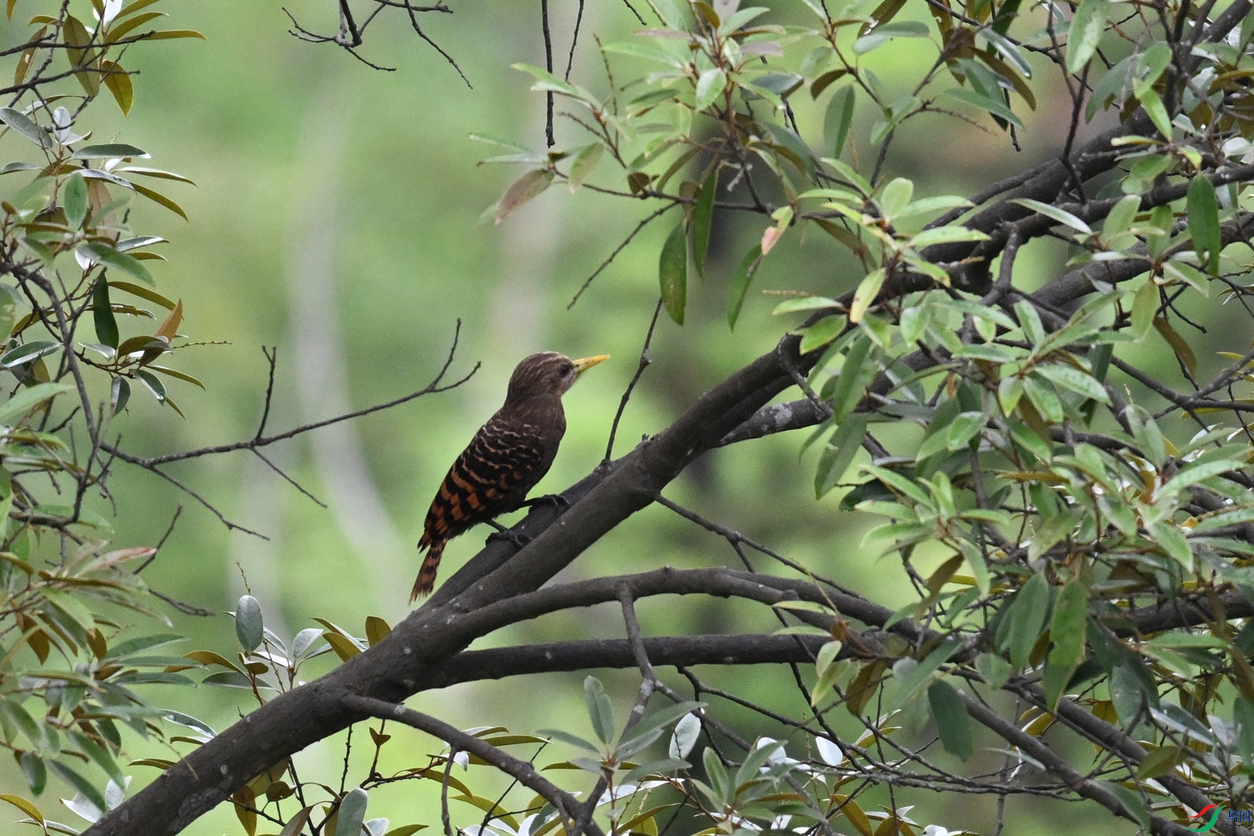 DSC_9480.JPG