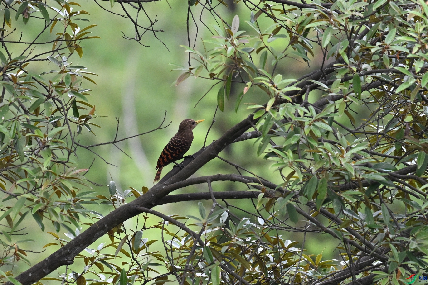 DSC_9481.JPG