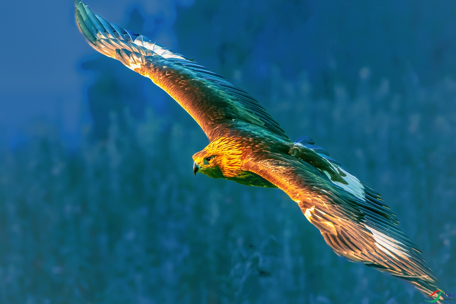 ���----����չ������