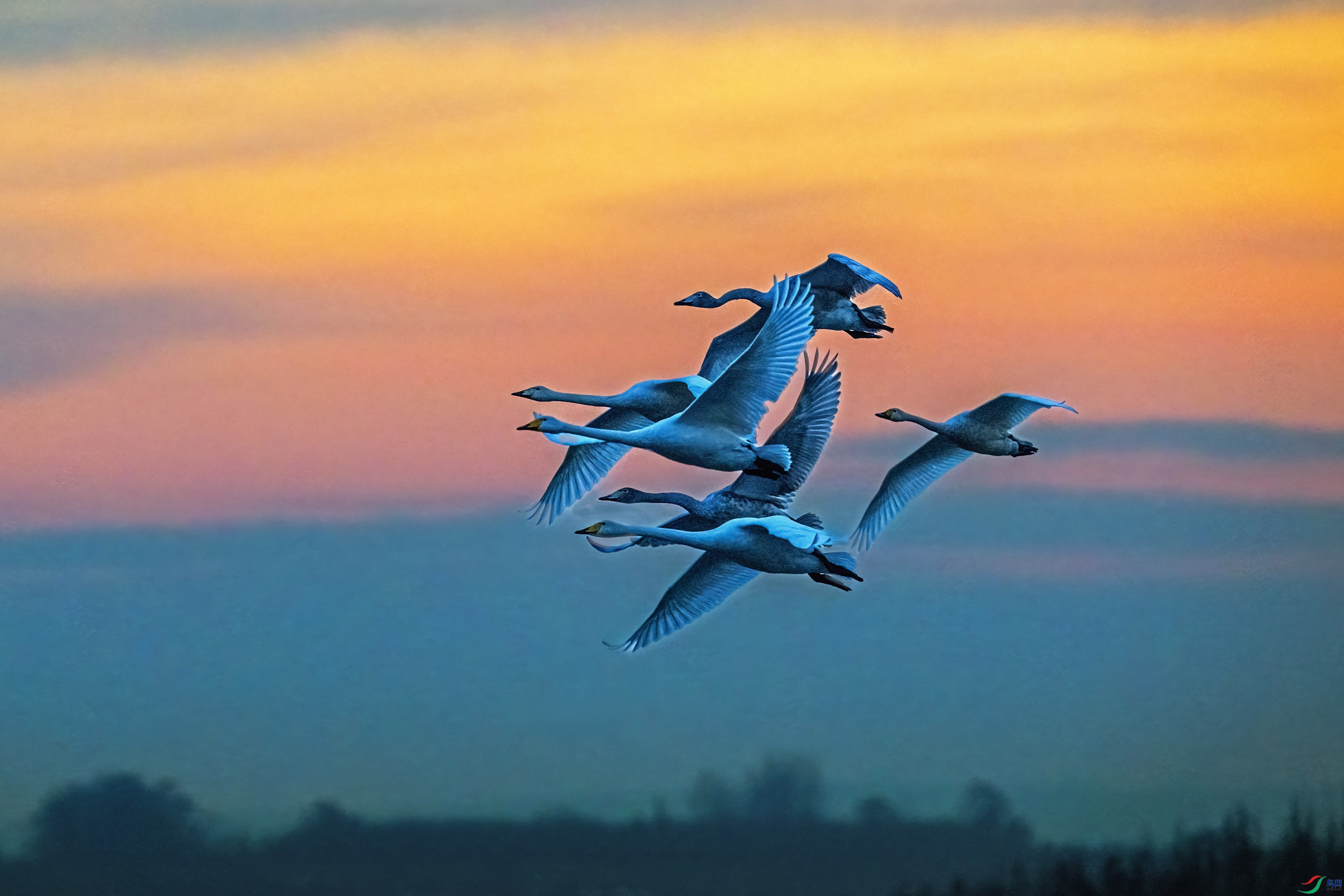 DSC_3037.jpg
