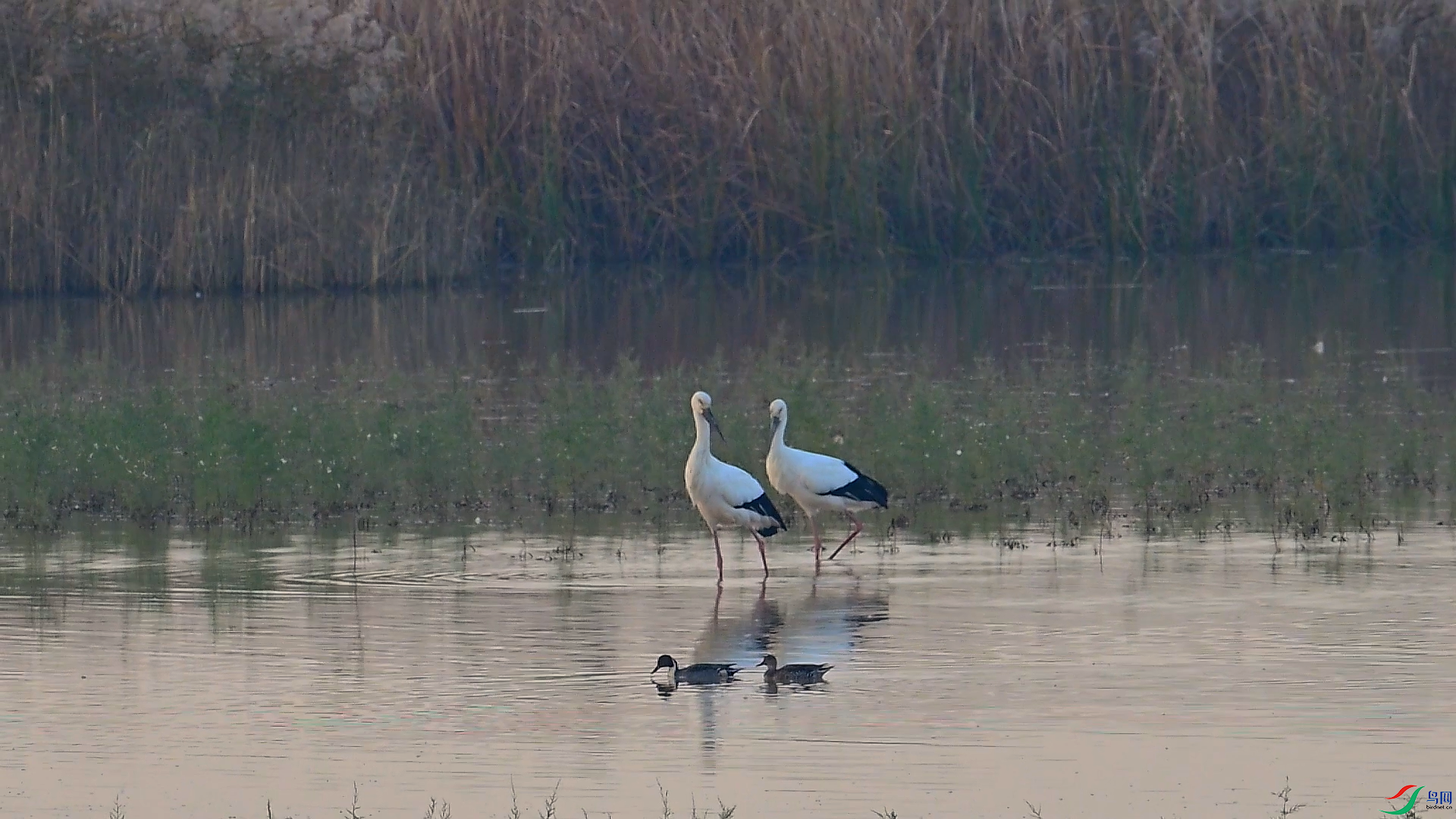 11��30�� (1).png