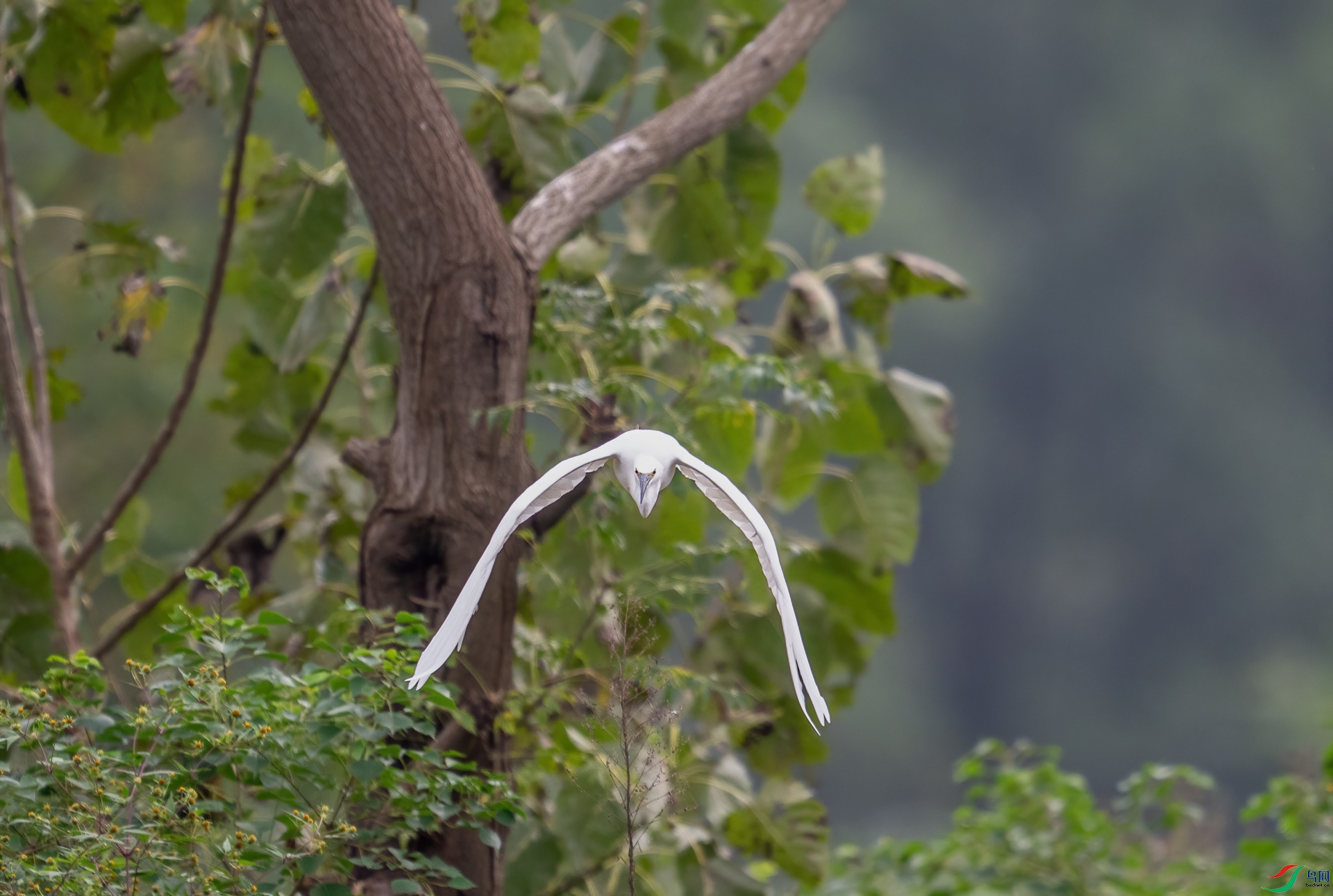 DSC_9989-1.jpg