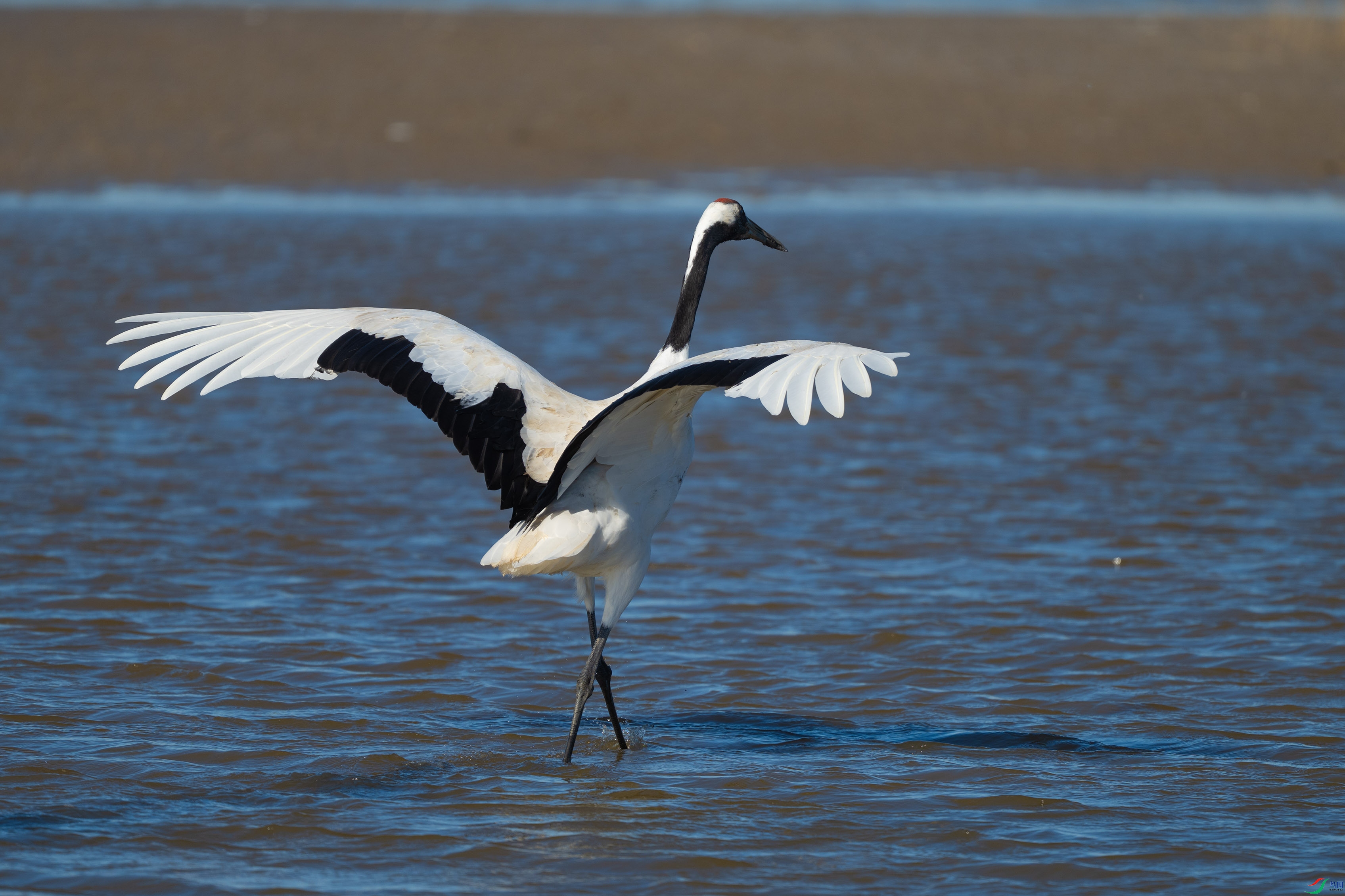 DSC_0425.jpg