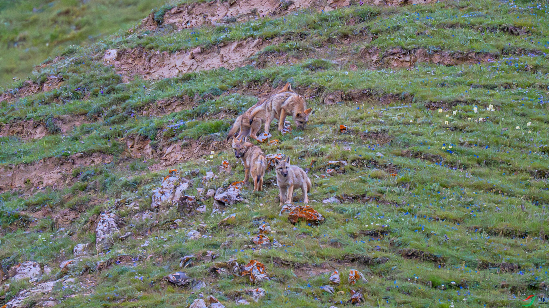 _DSC9670 ����_����.jpg