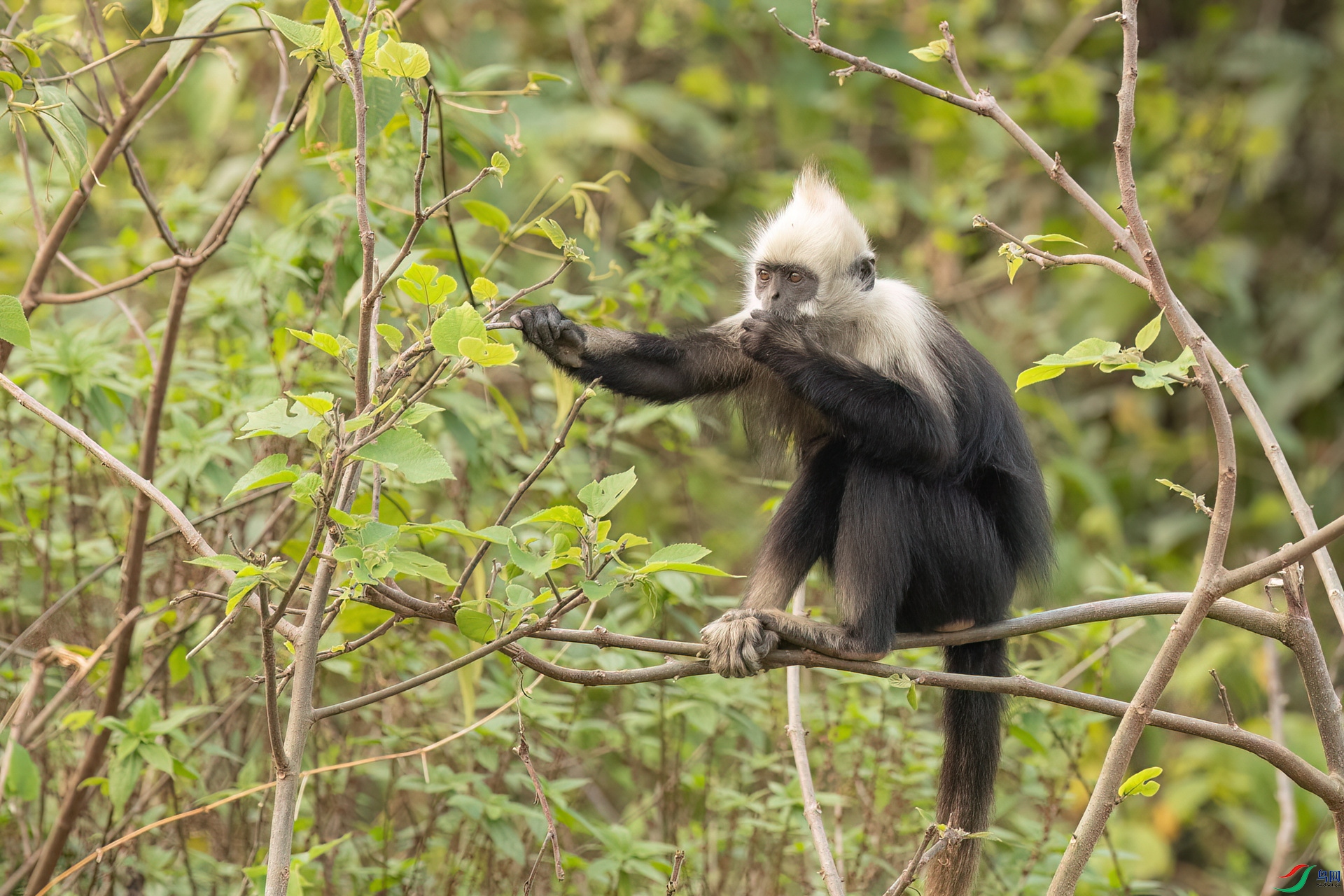 B86I9148 _����.jpg