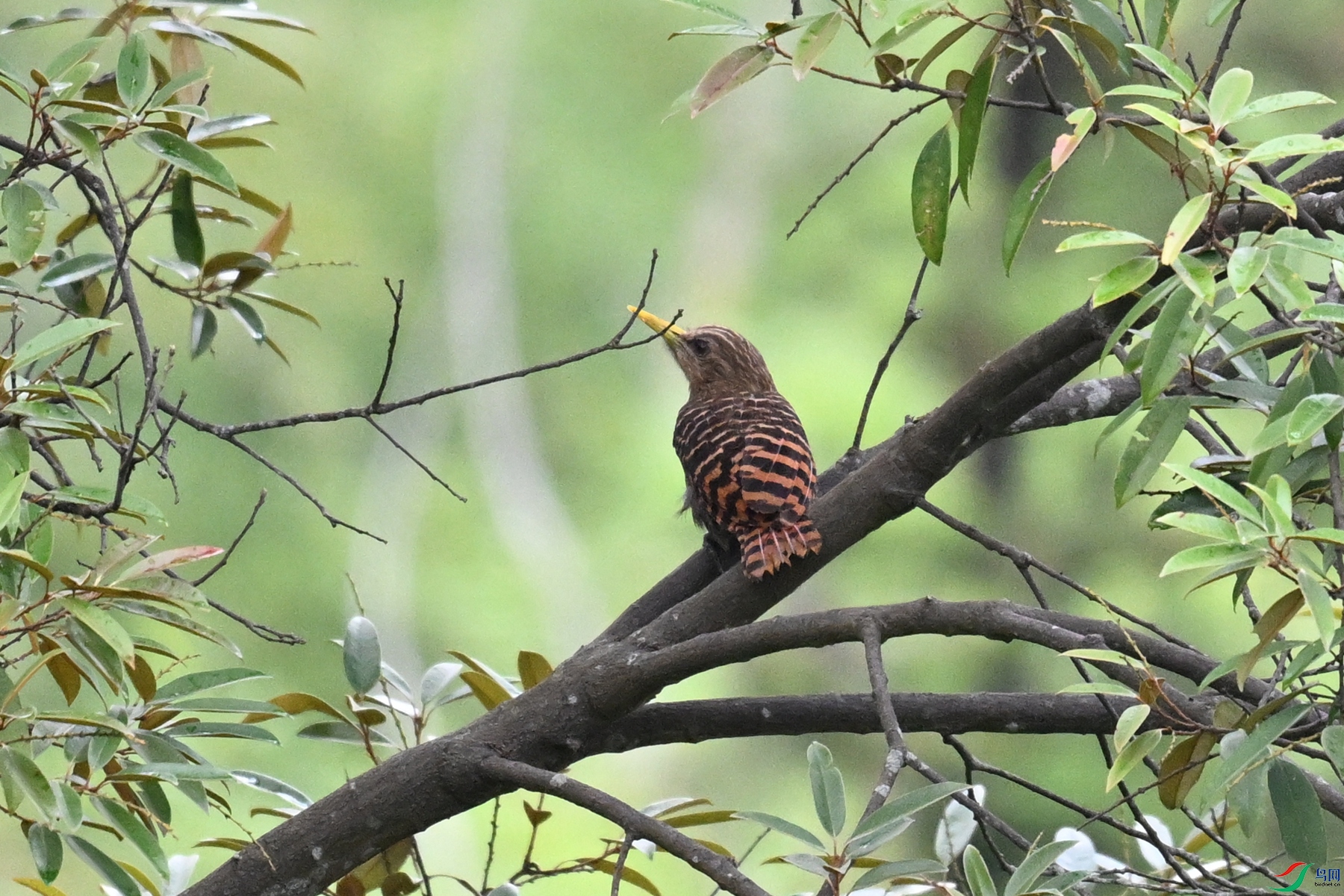 DSC_9504.JPG