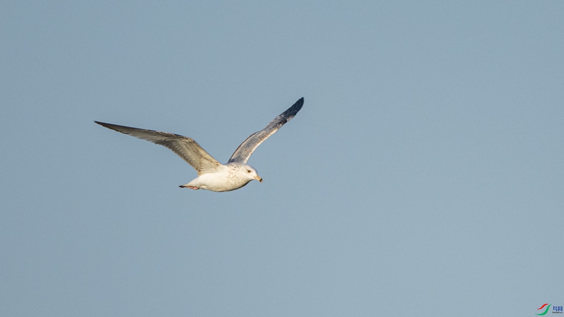 DSC_9290.jpg