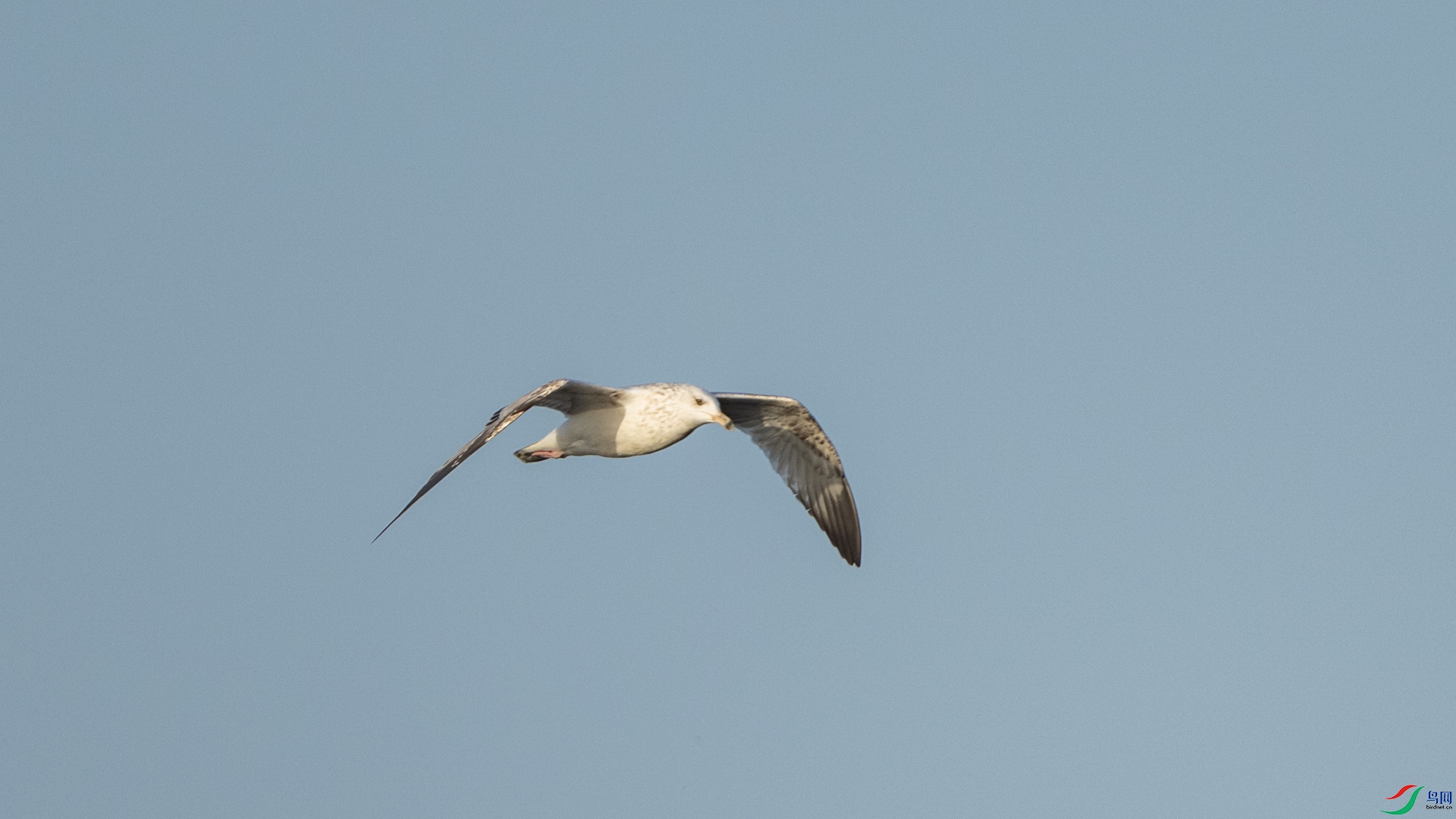 DSC_9294.jpg
