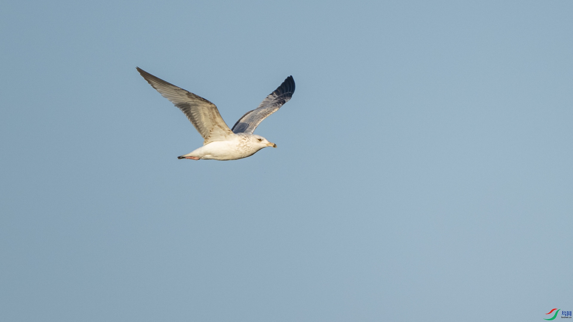 DSC_9295.jpg