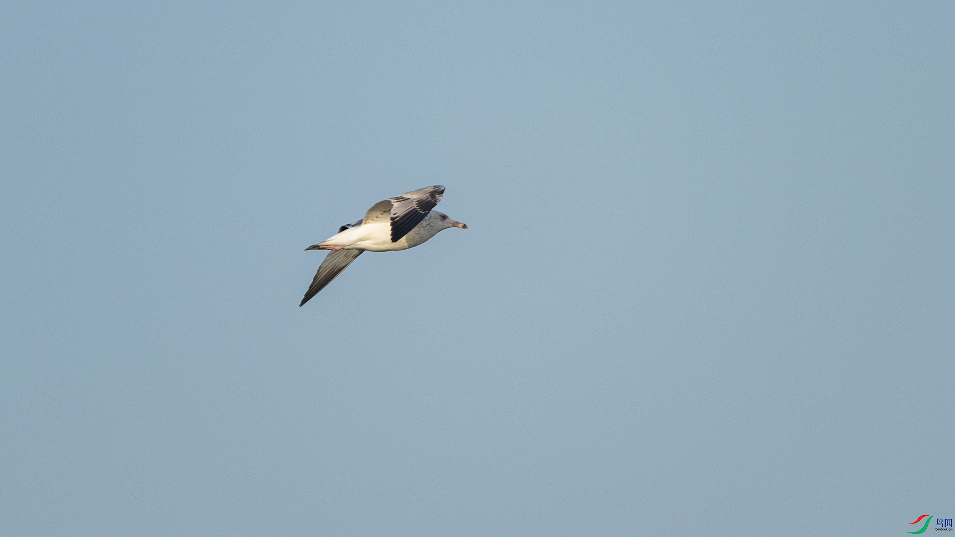 DSC_9322.jpg