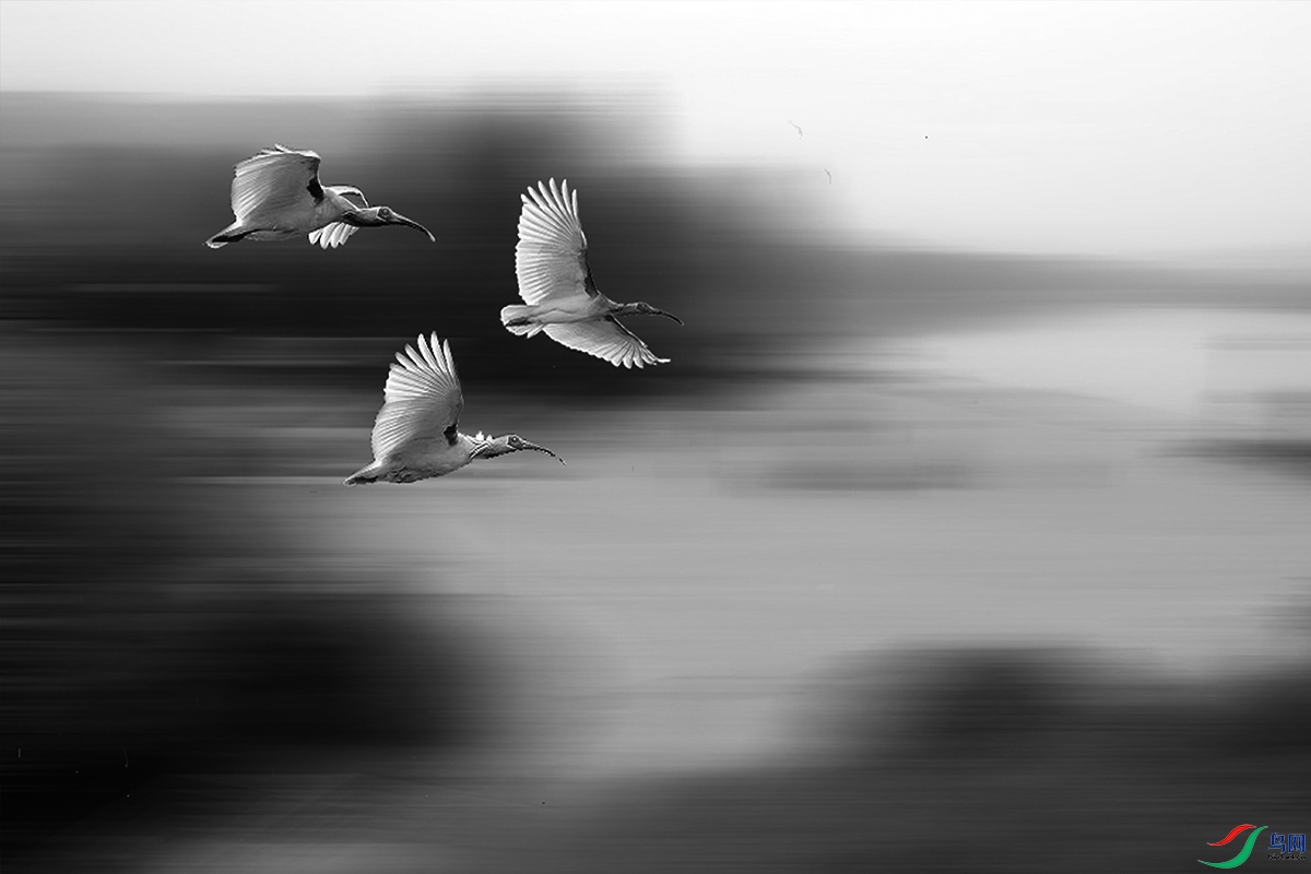 ��Ƭ 044���ڰף�.jpg