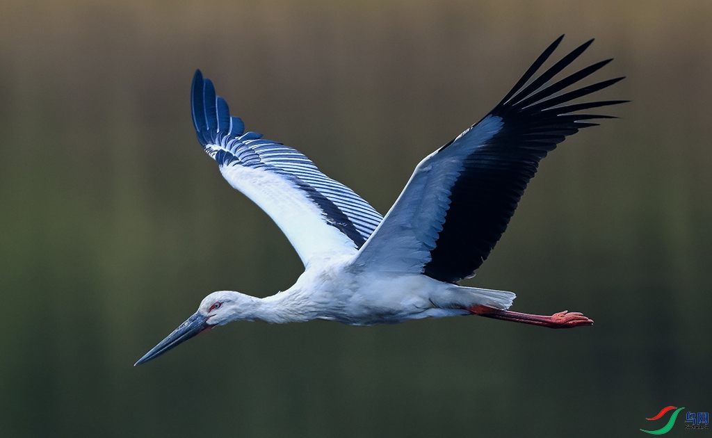 DSC_4660 ���� 2.jpg