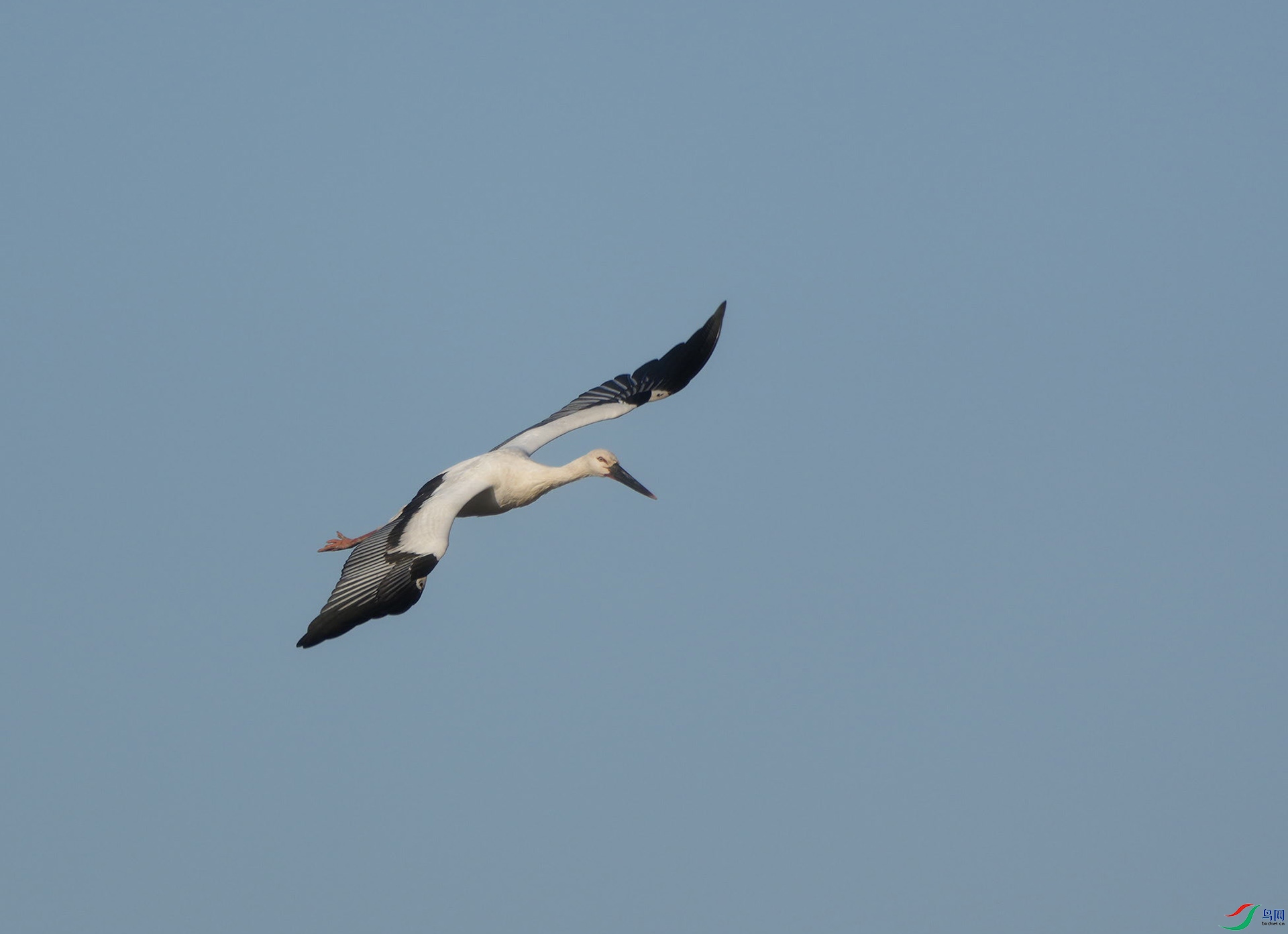 DSC02128.JPG