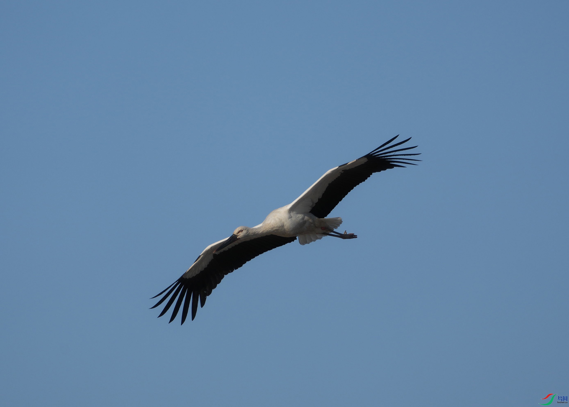 DSC02145.JPG