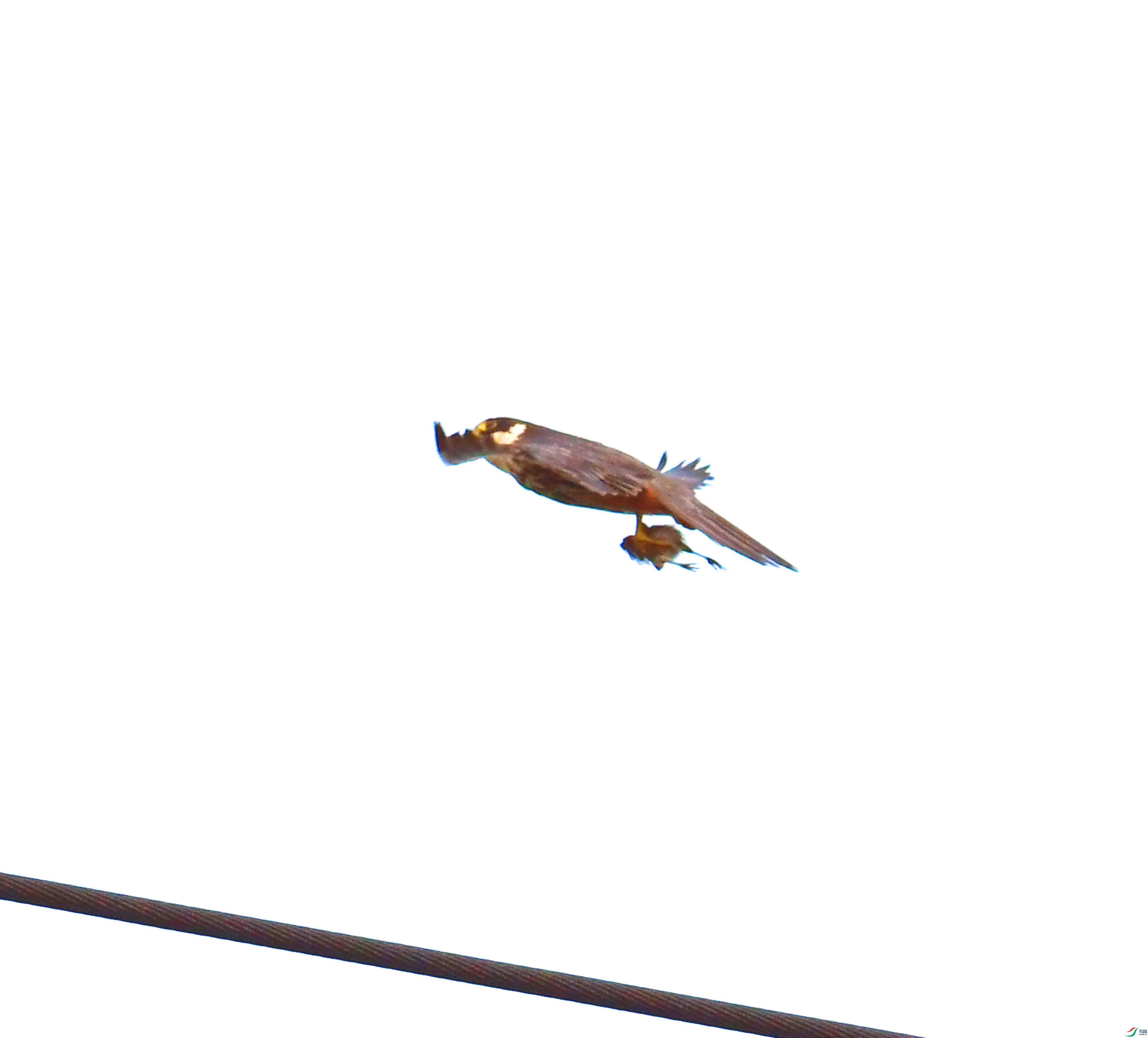 DSC_1503.JPG
