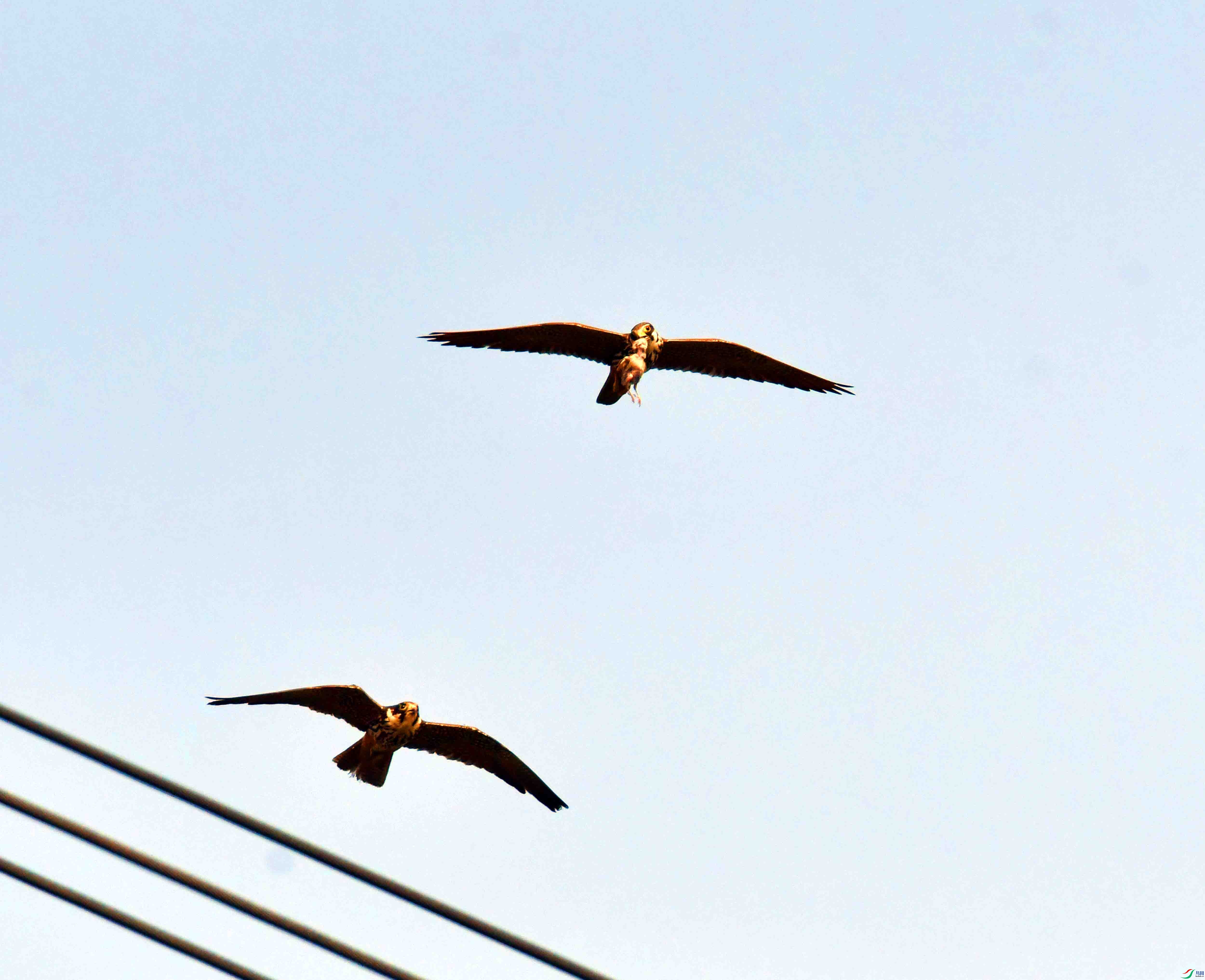 DSC_1522.JPG