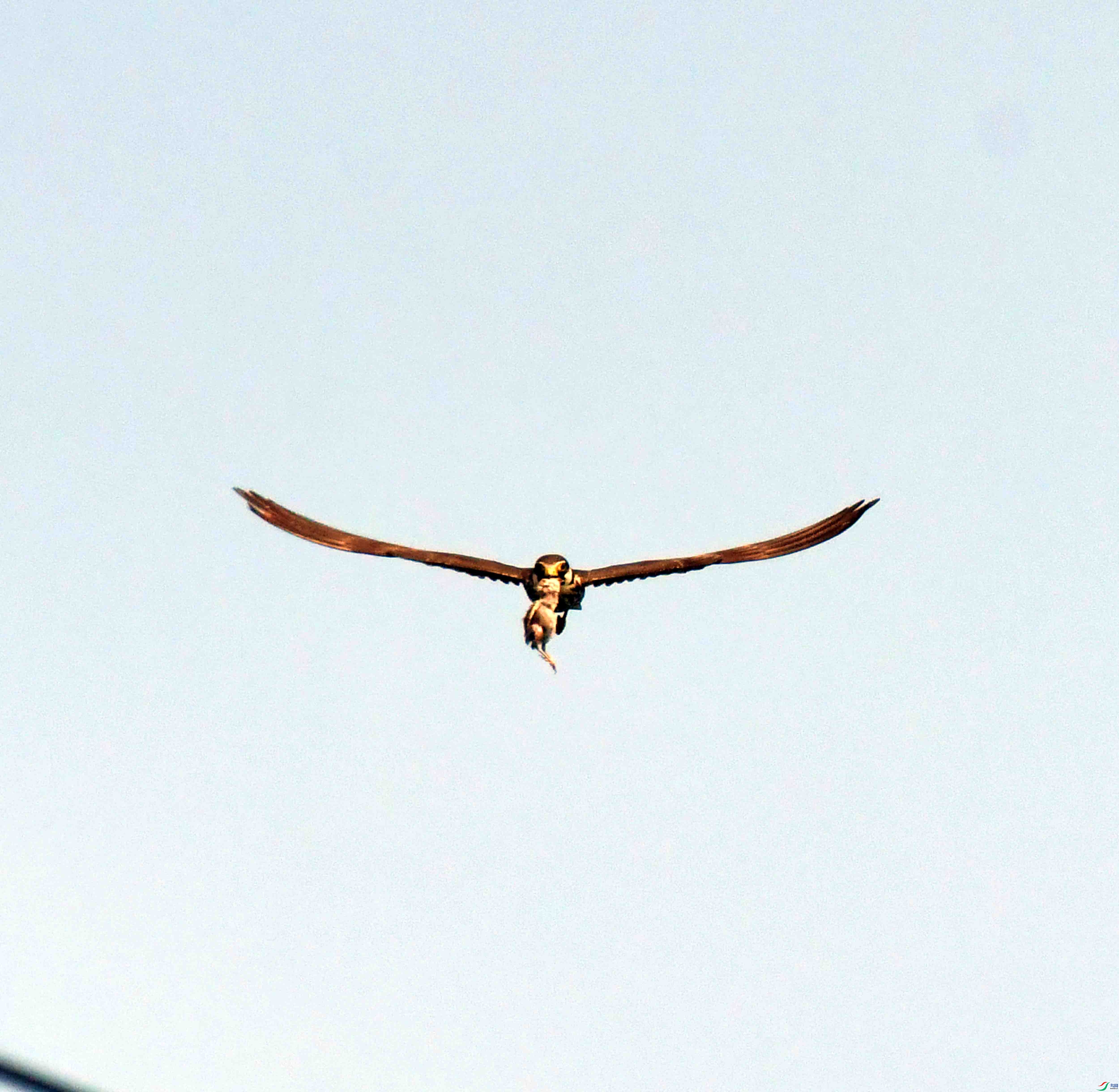 DSC_1508.JPG