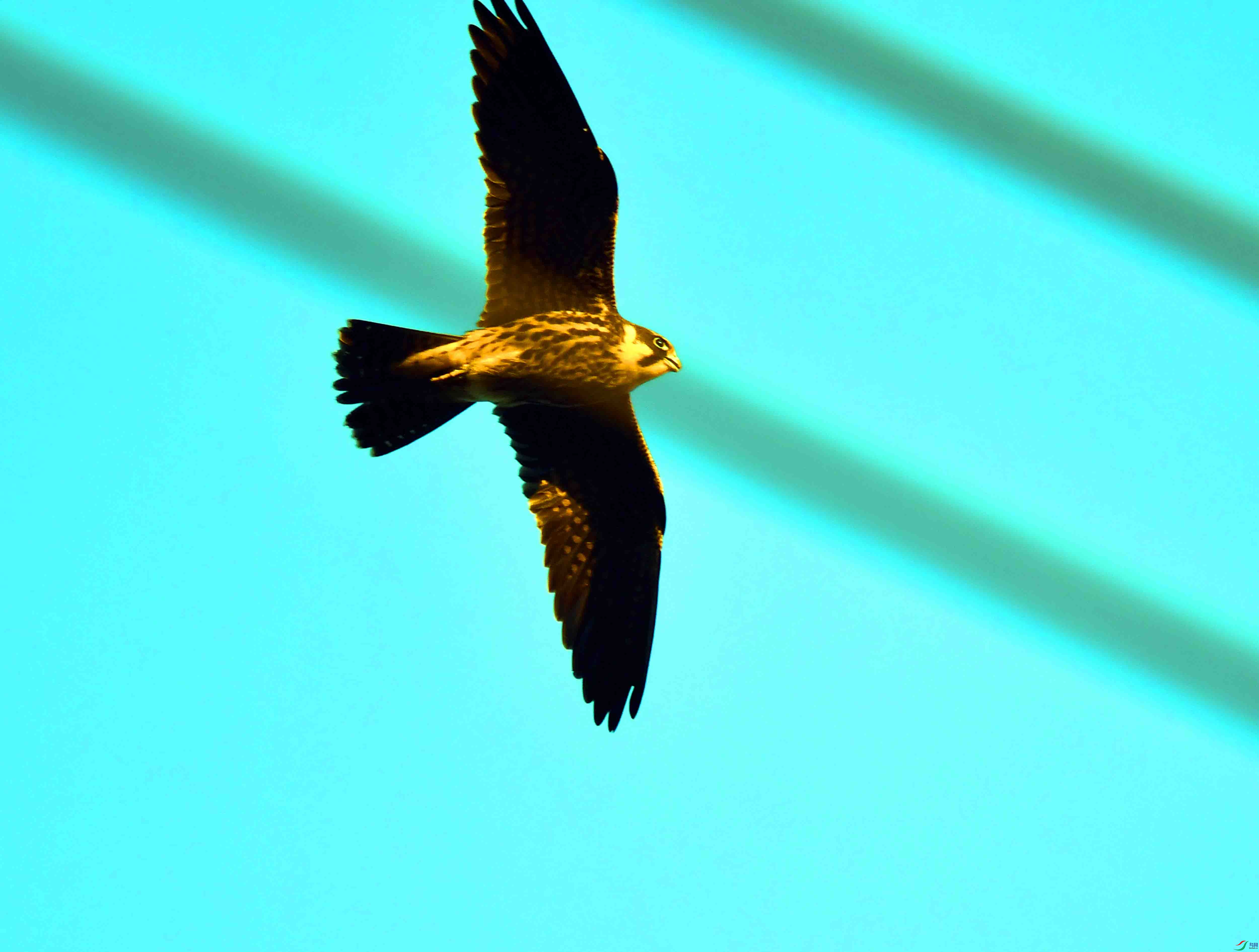 DSC_1650.JPG