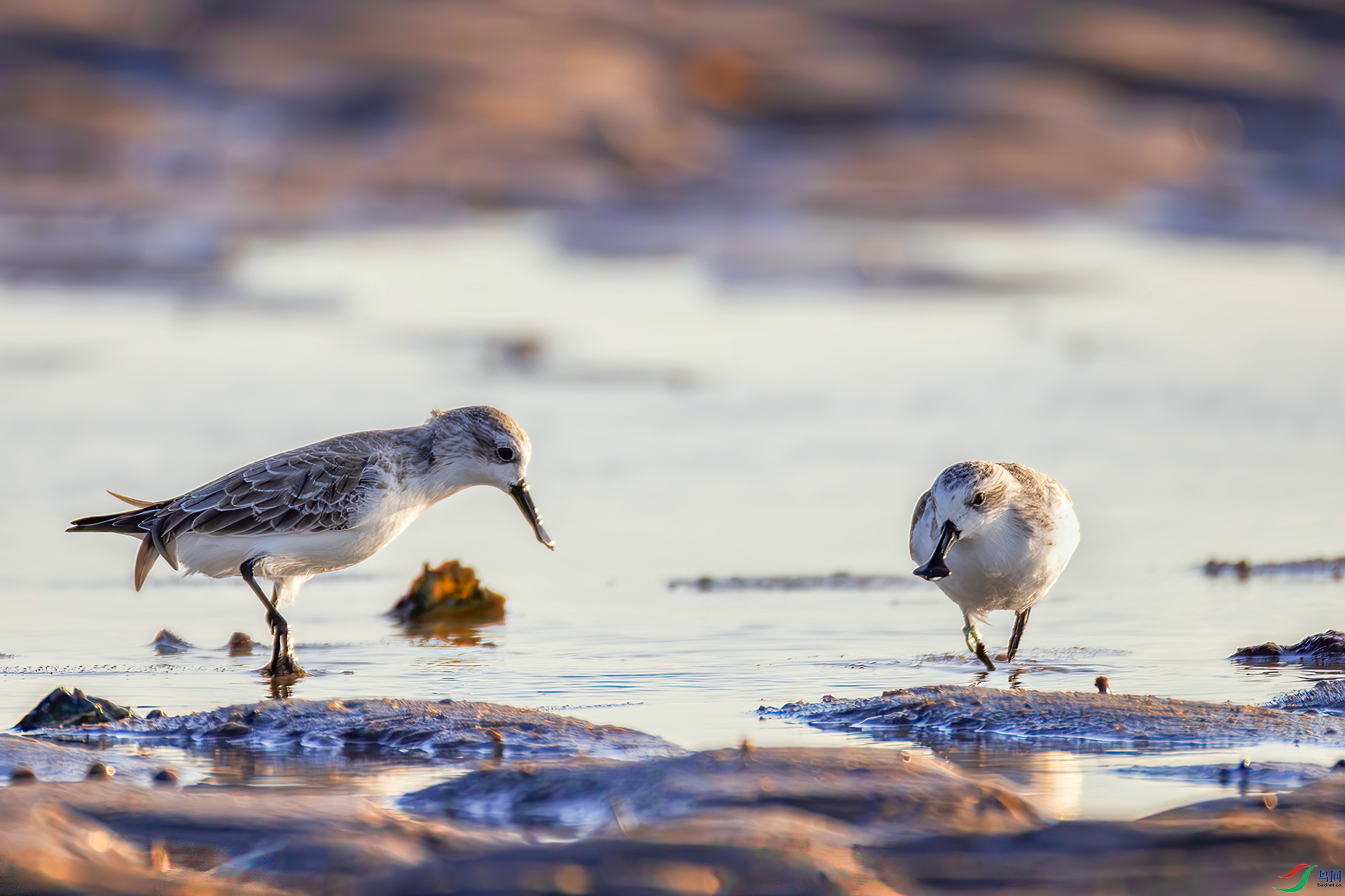 407A0113------22  .jpg