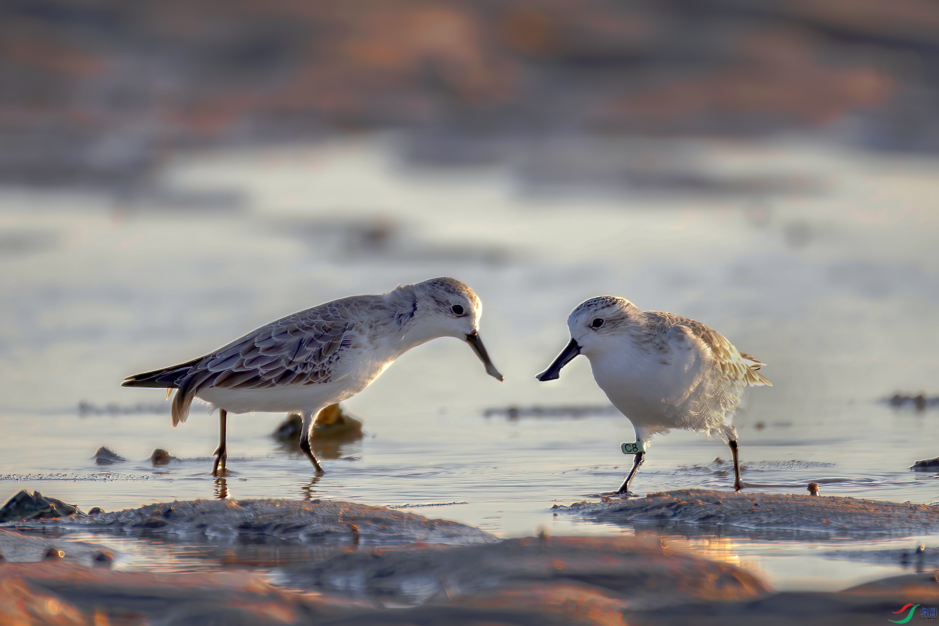 407A0117-----22  .jpg