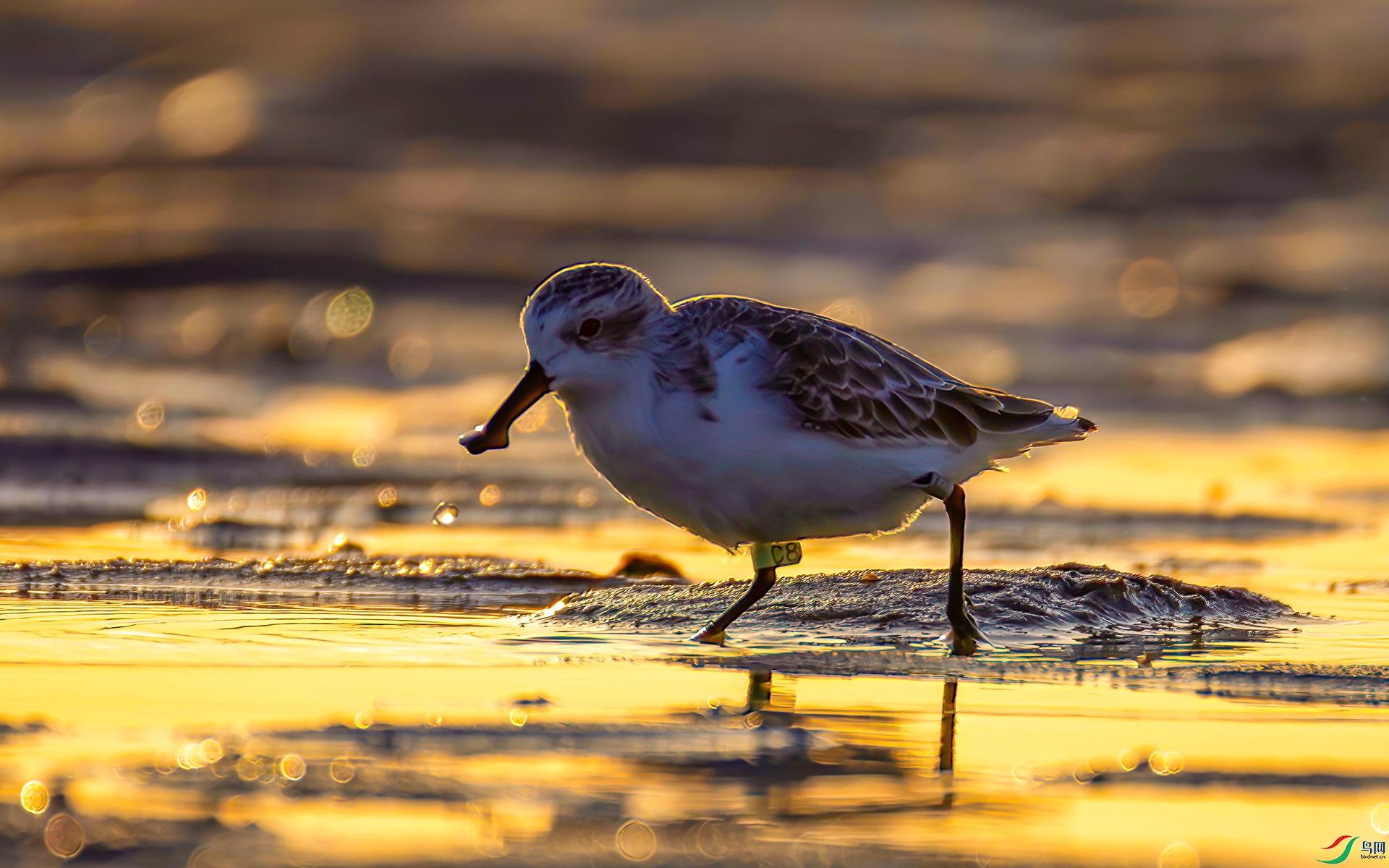 407A2999----3333  .jpg