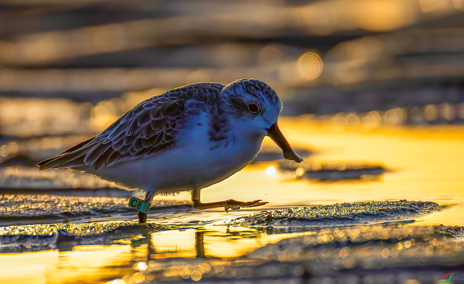 407A3457-----3333.  .jpg