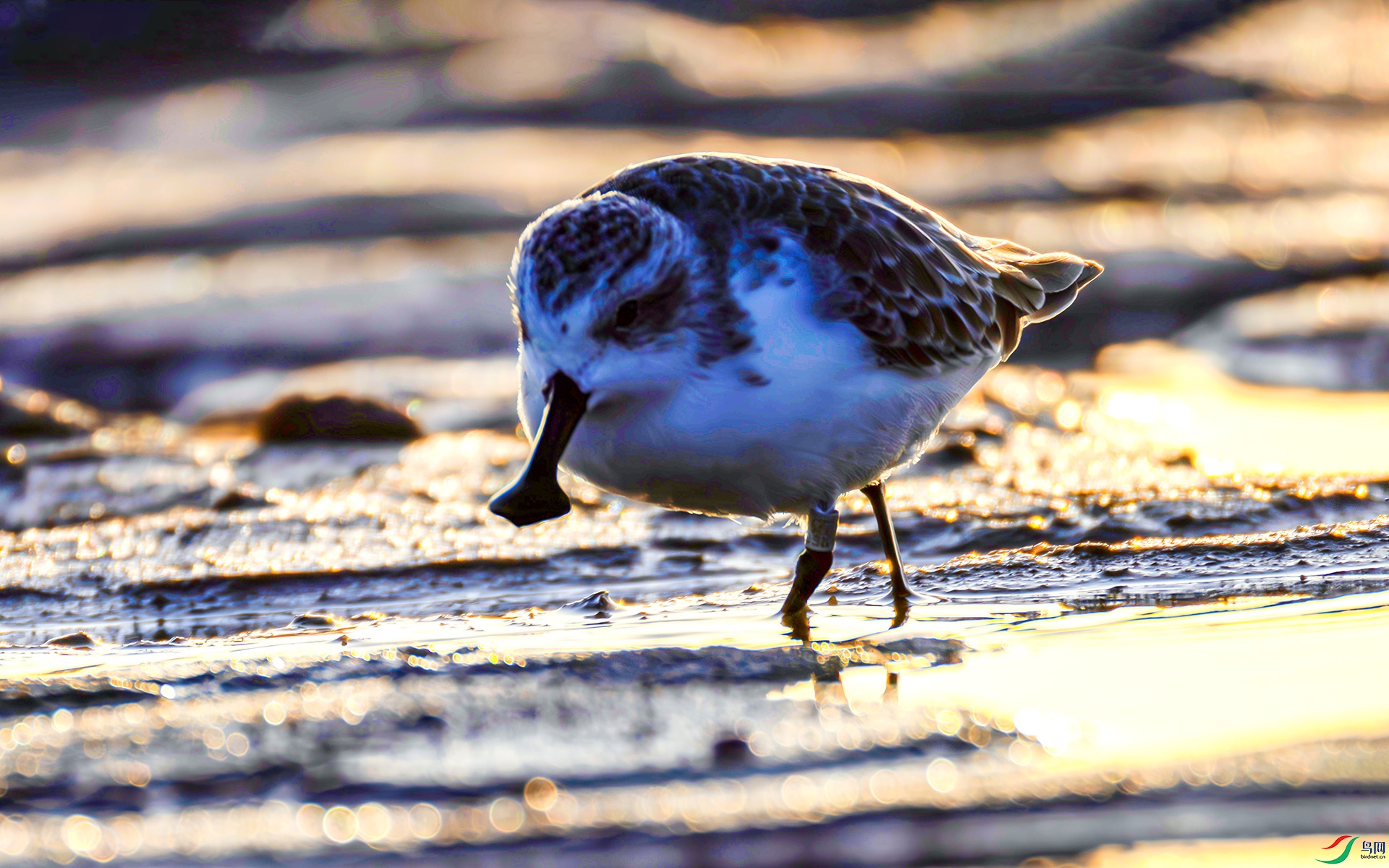 407A3613----22  .jpg