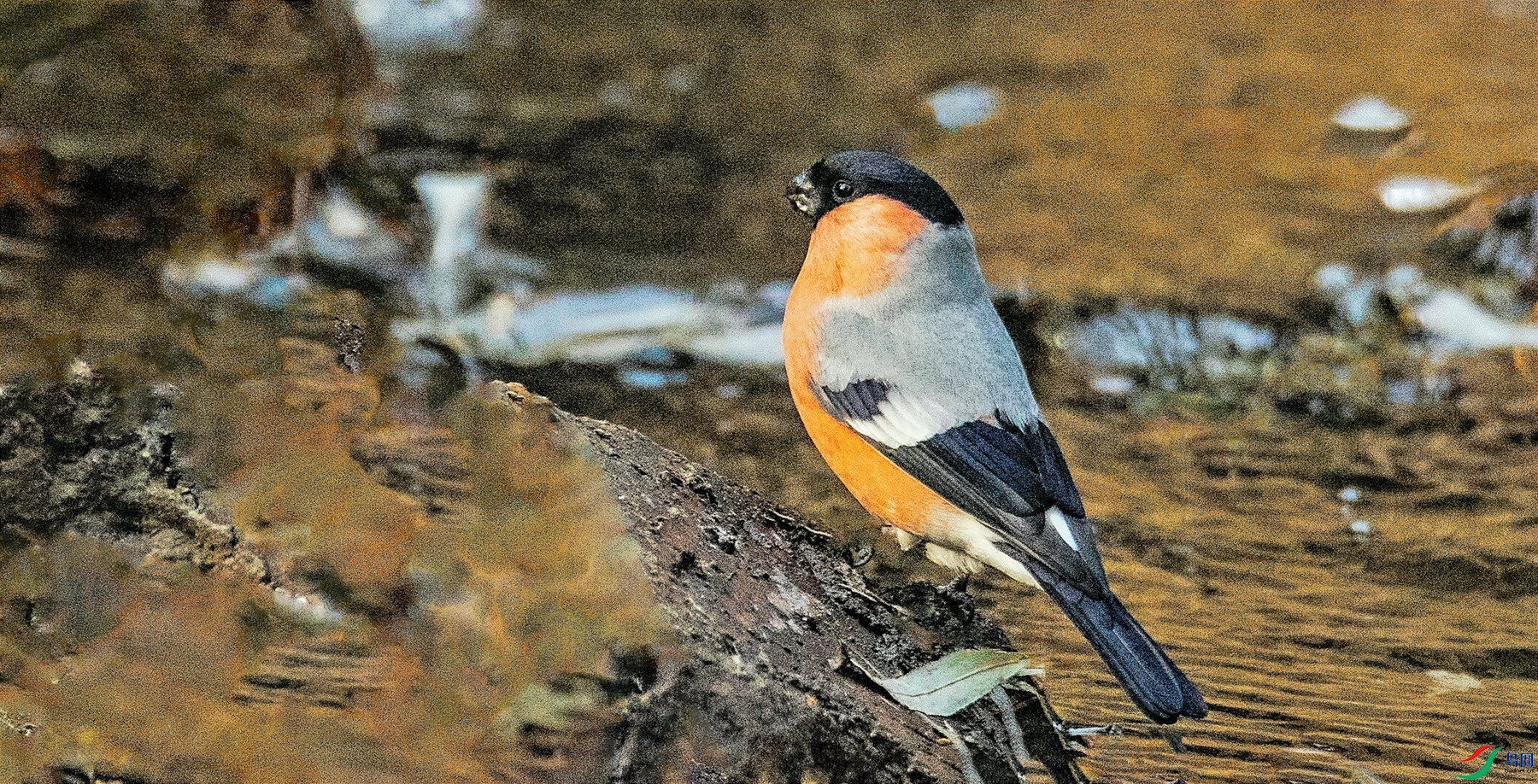 �츹��ȸ.jpg