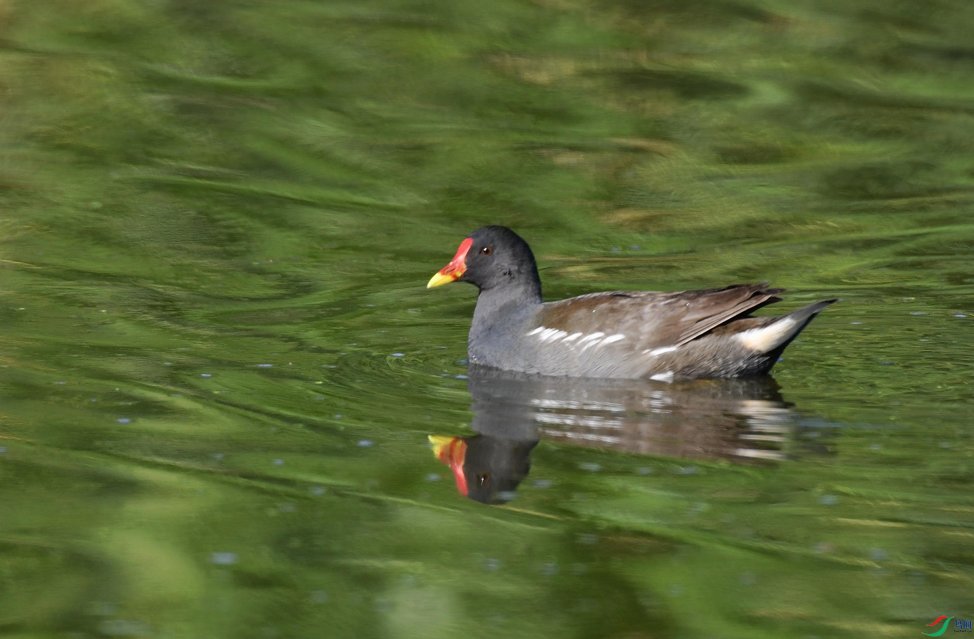 DSC_4171.jpg