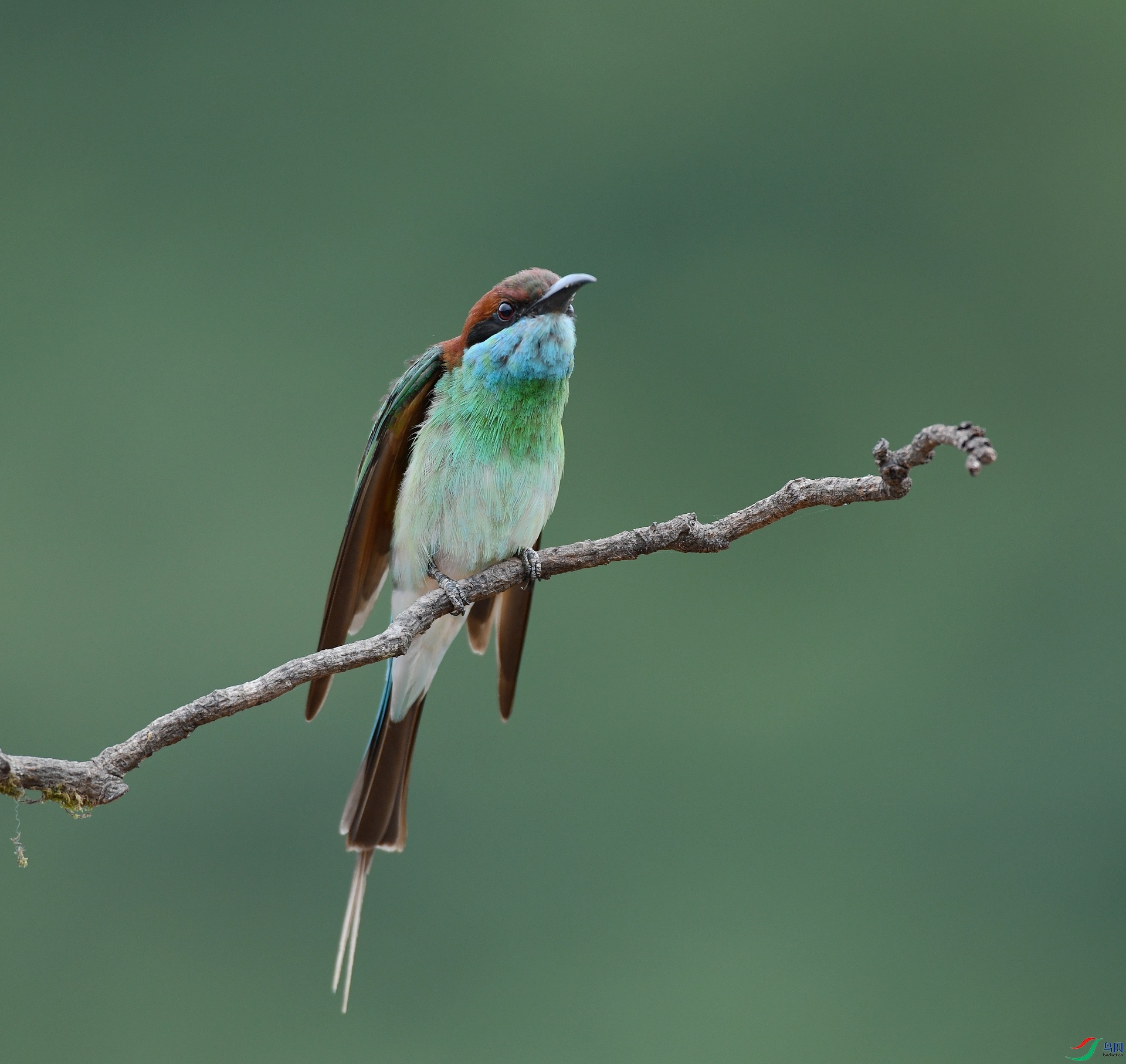 DSC_0900.jpg