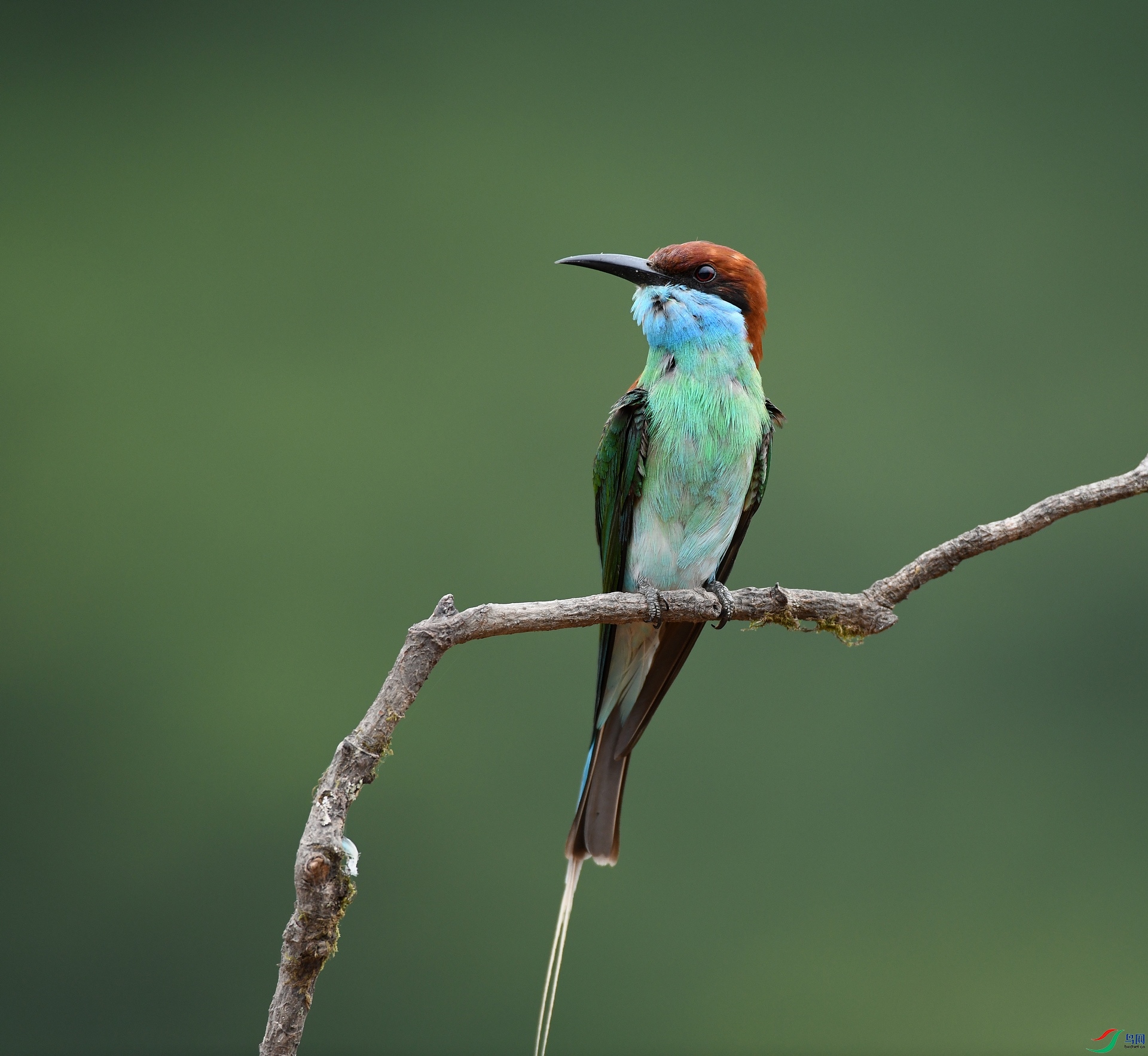 DSC_1089.jpg