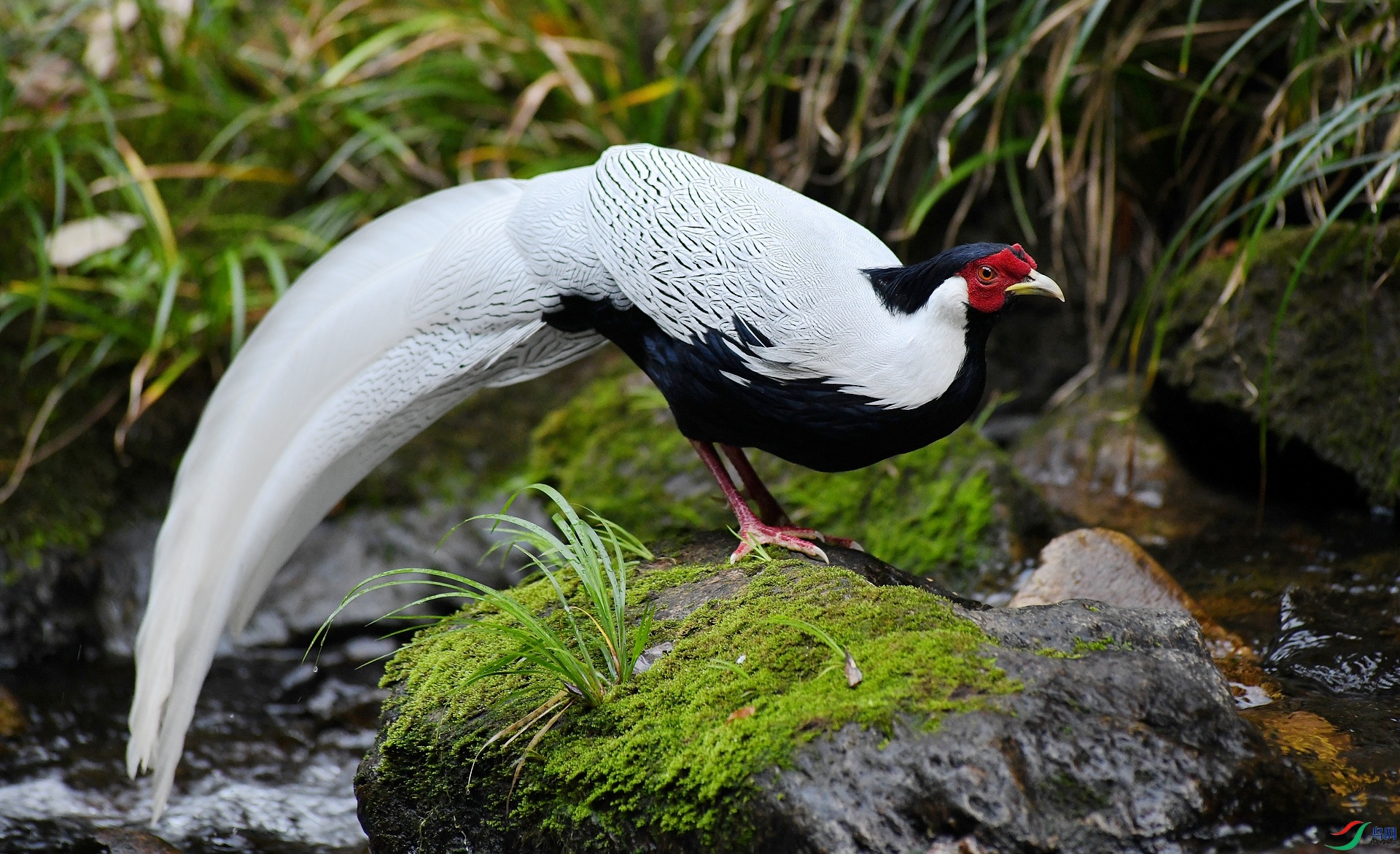 DSC_6491.jpg