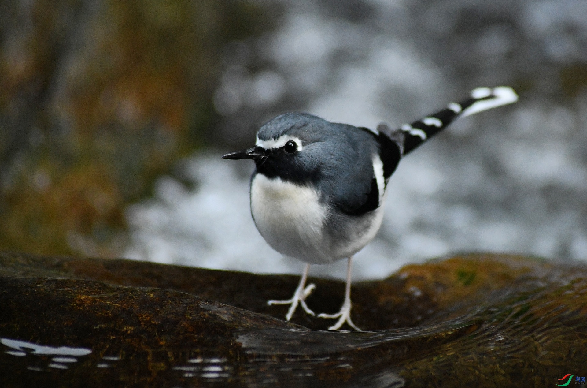 DSC_6344.jpg