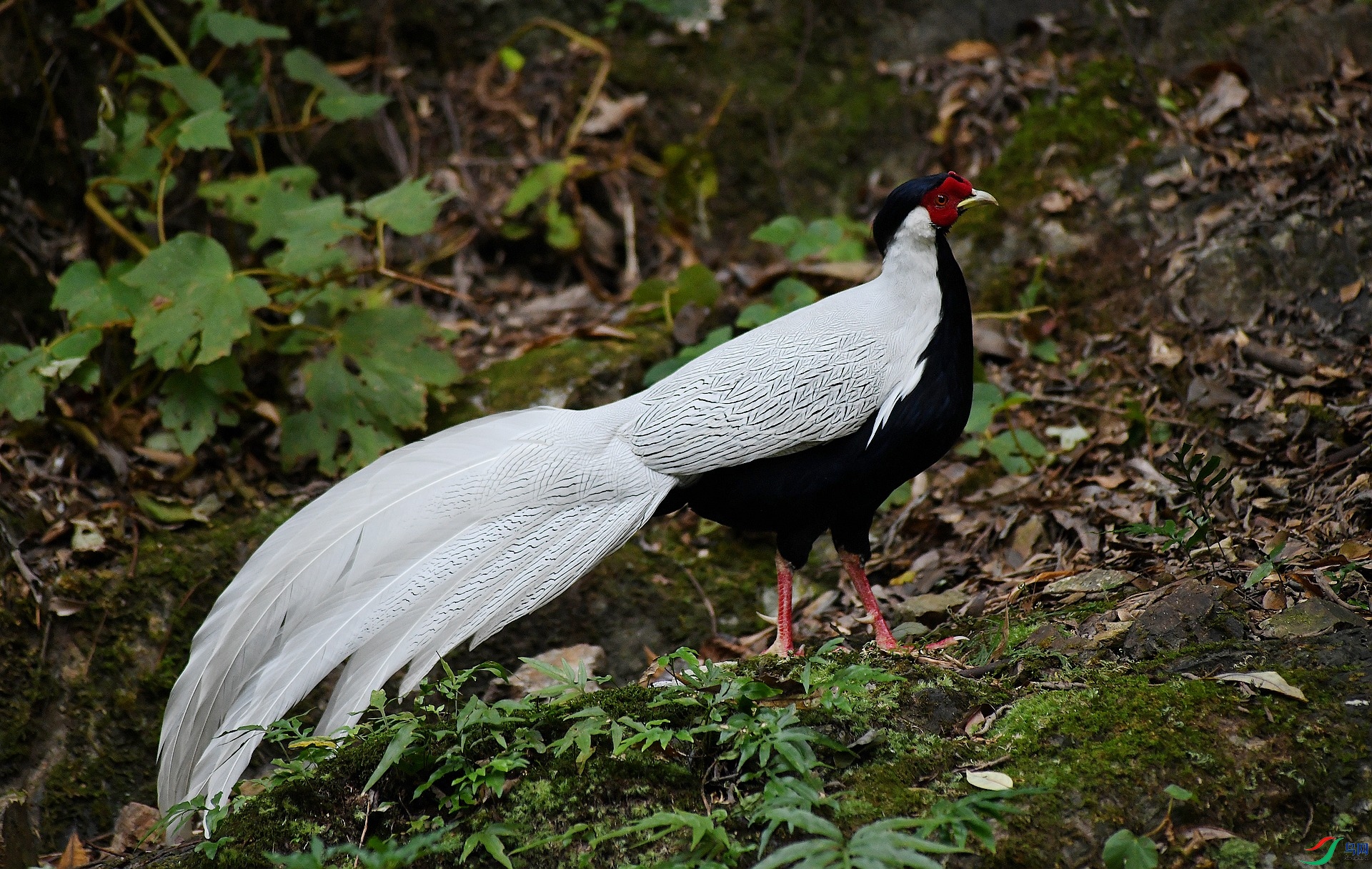 DSC_6539.jpg