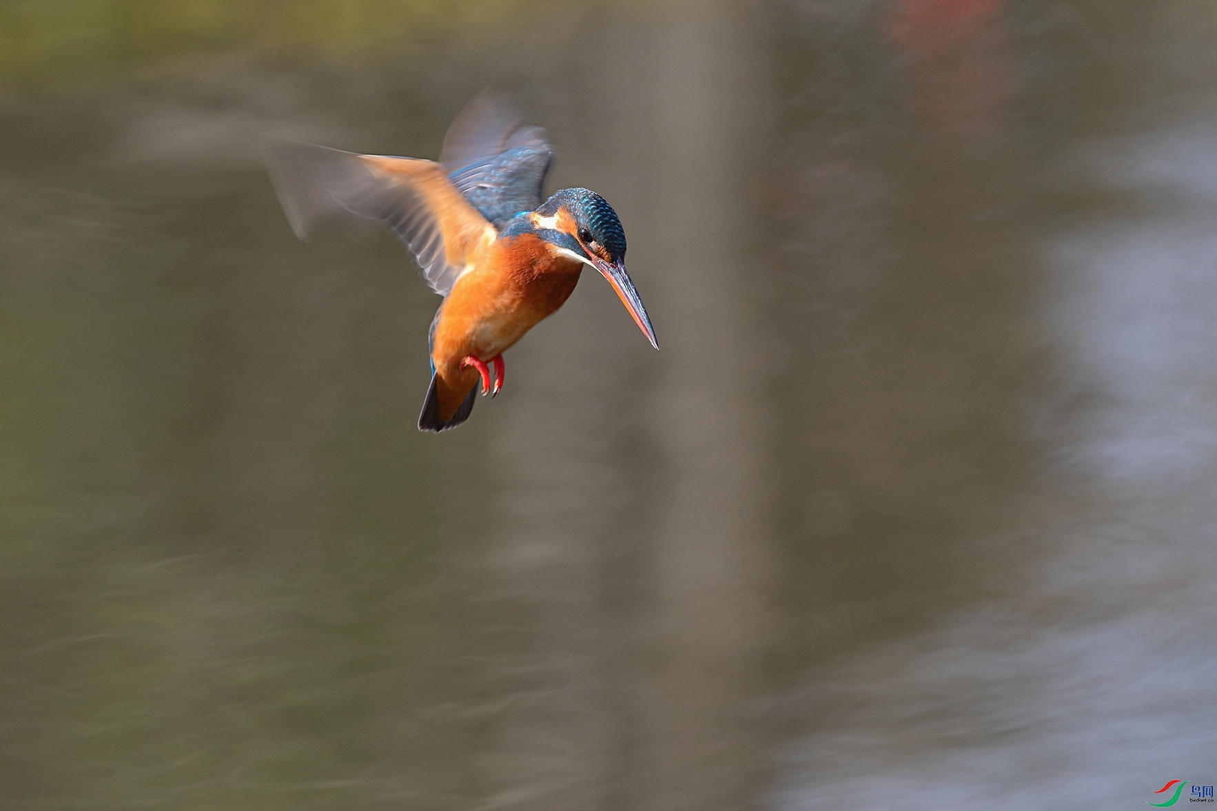 DSC_5655_DxOa.jpg